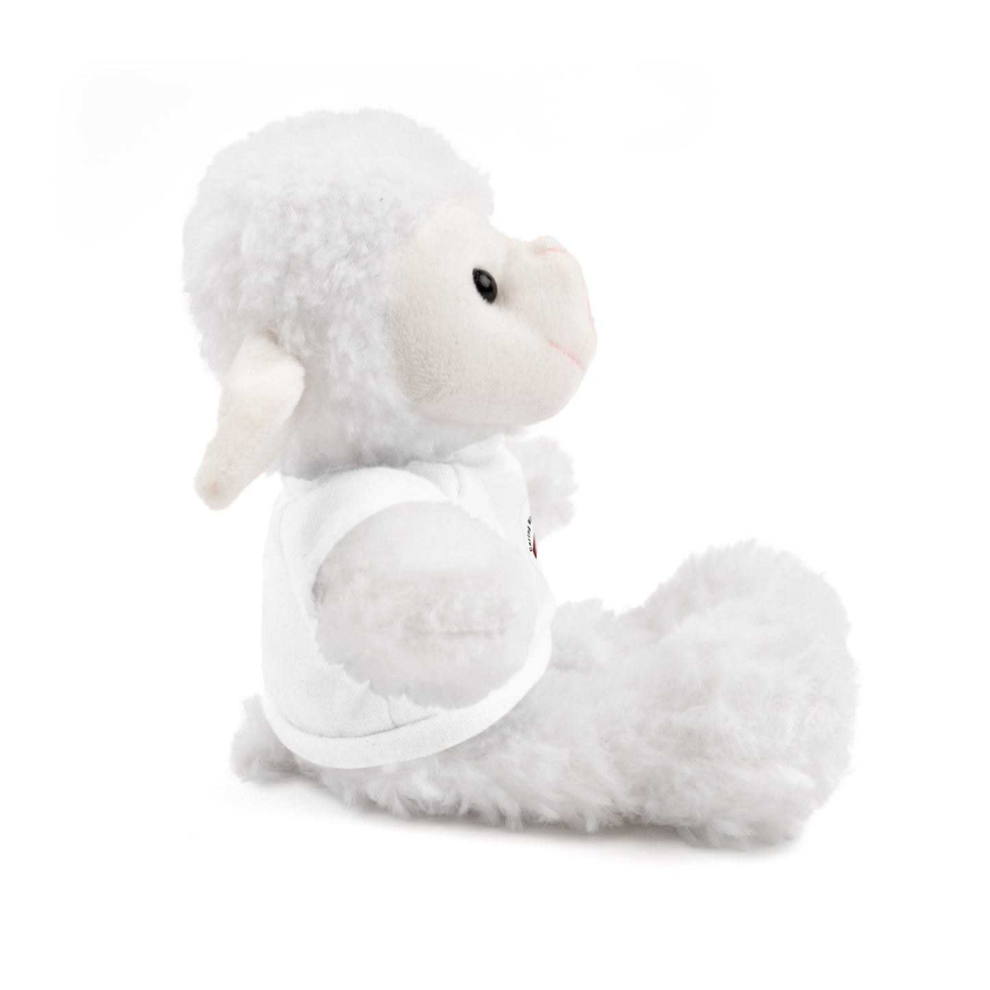 Plush Bear with Custom Tee — Soft Brown Teddy in Printed T‑Shirt