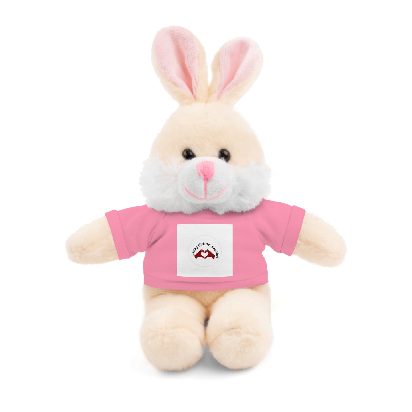 Plush Bear with Custom Tee — Soft Brown Teddy in Printed T‑Shirt