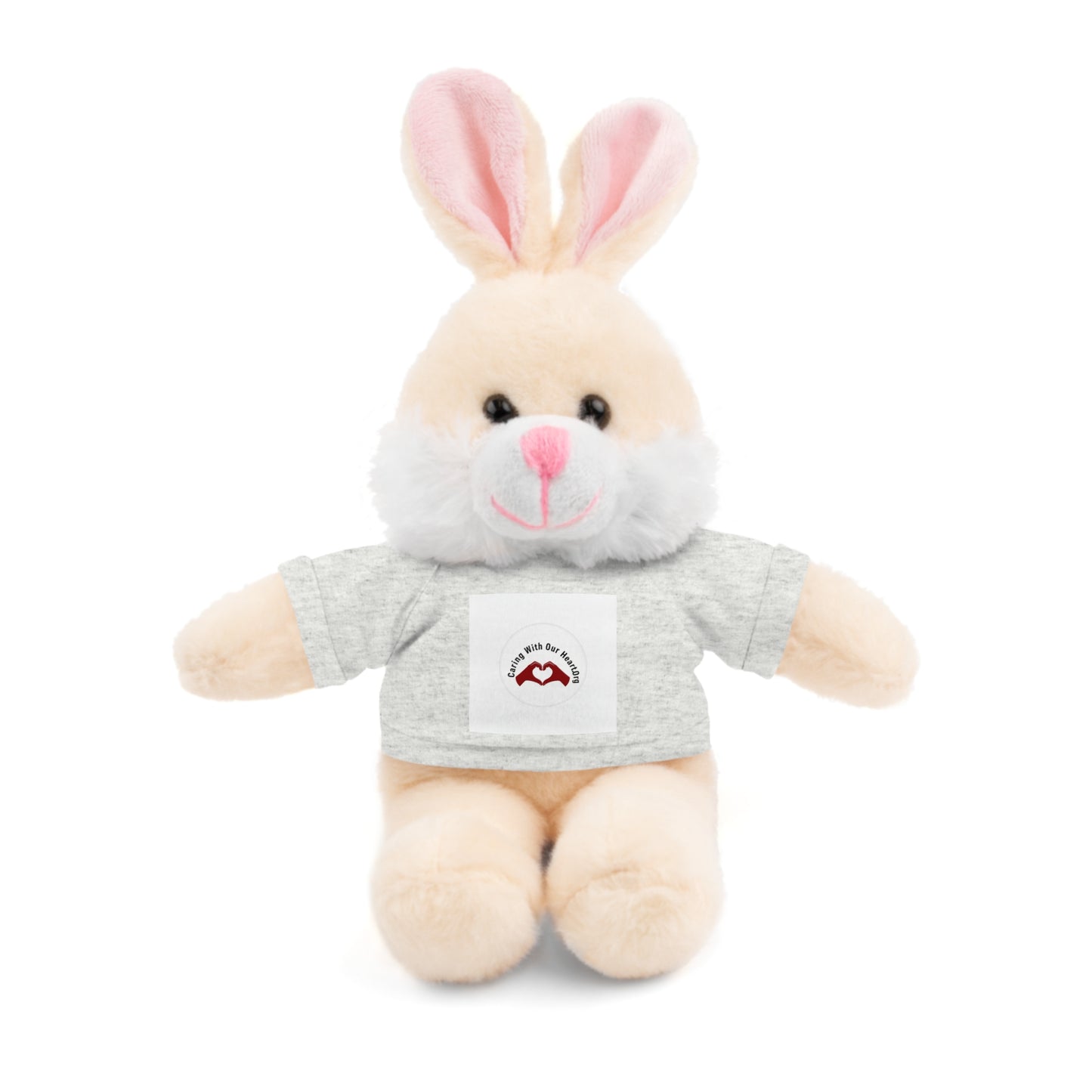 Plush Bear with Custom Tee — Soft Brown Teddy in Printed T‑Shirt