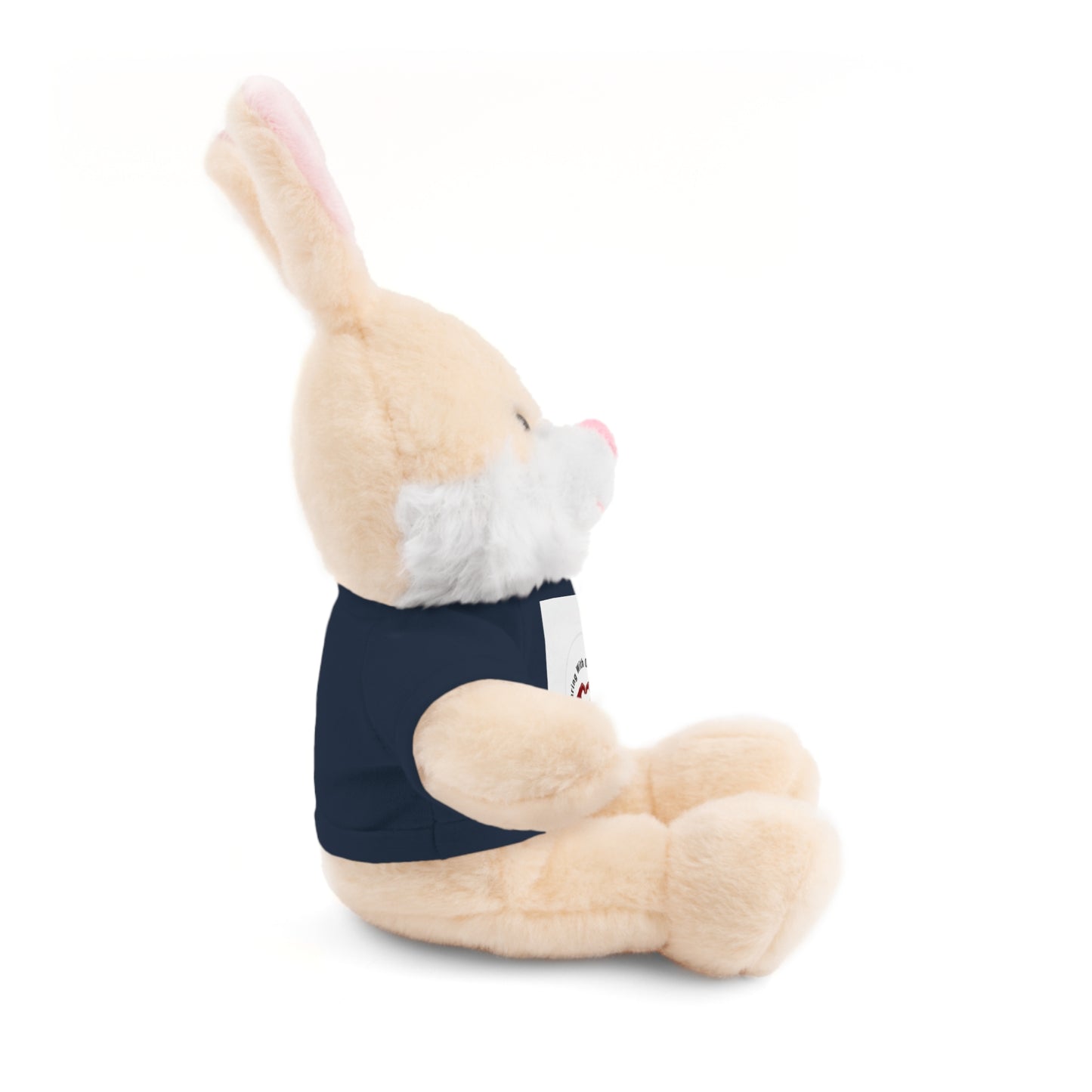 Plush Bear with Custom Tee — Soft Brown Teddy in Printed T‑Shirt