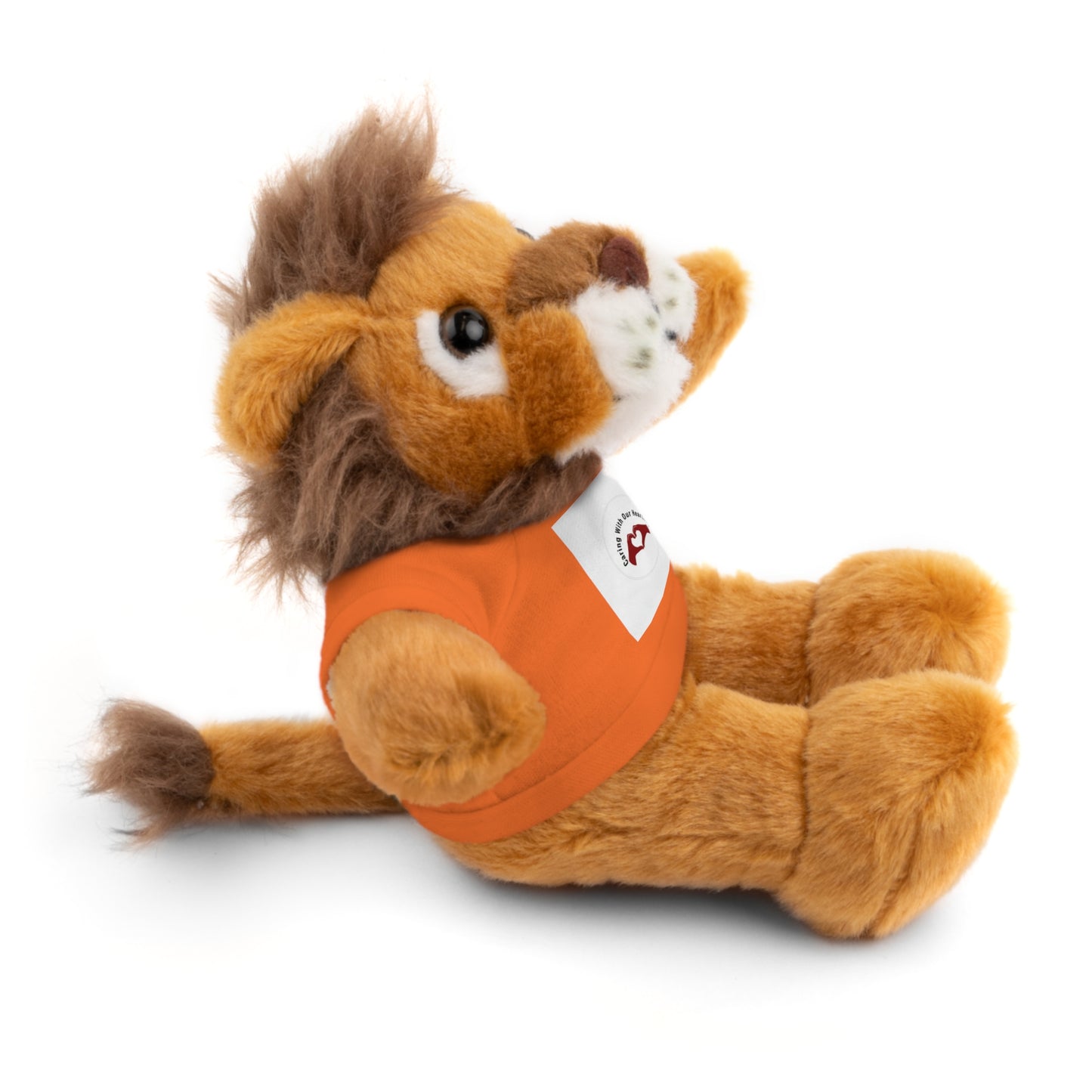 Plush Bear with Custom Tee — Soft Brown Teddy in Printed T‑Shirt
