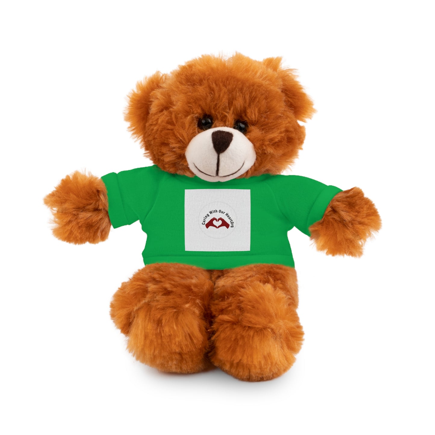 Plush Bear with Custom Tee — Soft Brown Teddy in Printed T‑Shirt