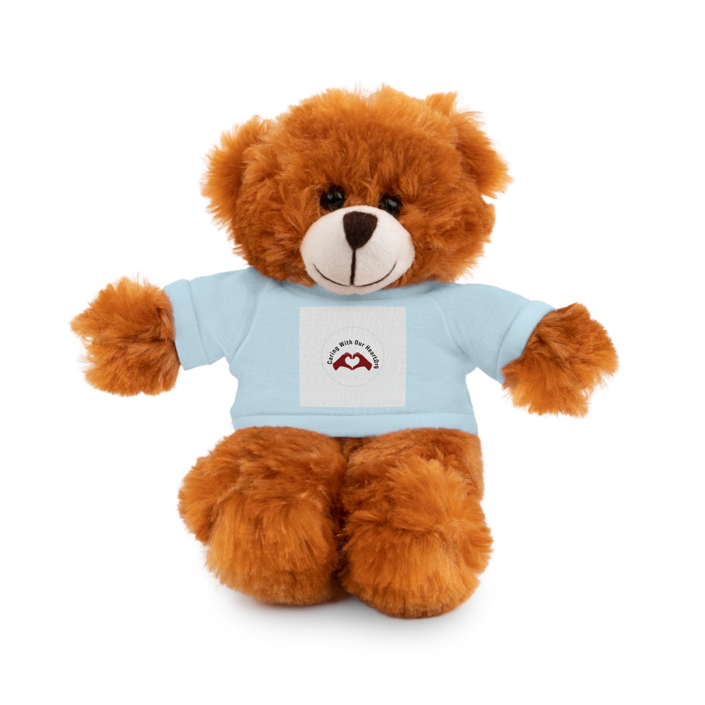 Plush Bear with Custom Tee — Soft Brown Teddy in Printed T‑Shirt