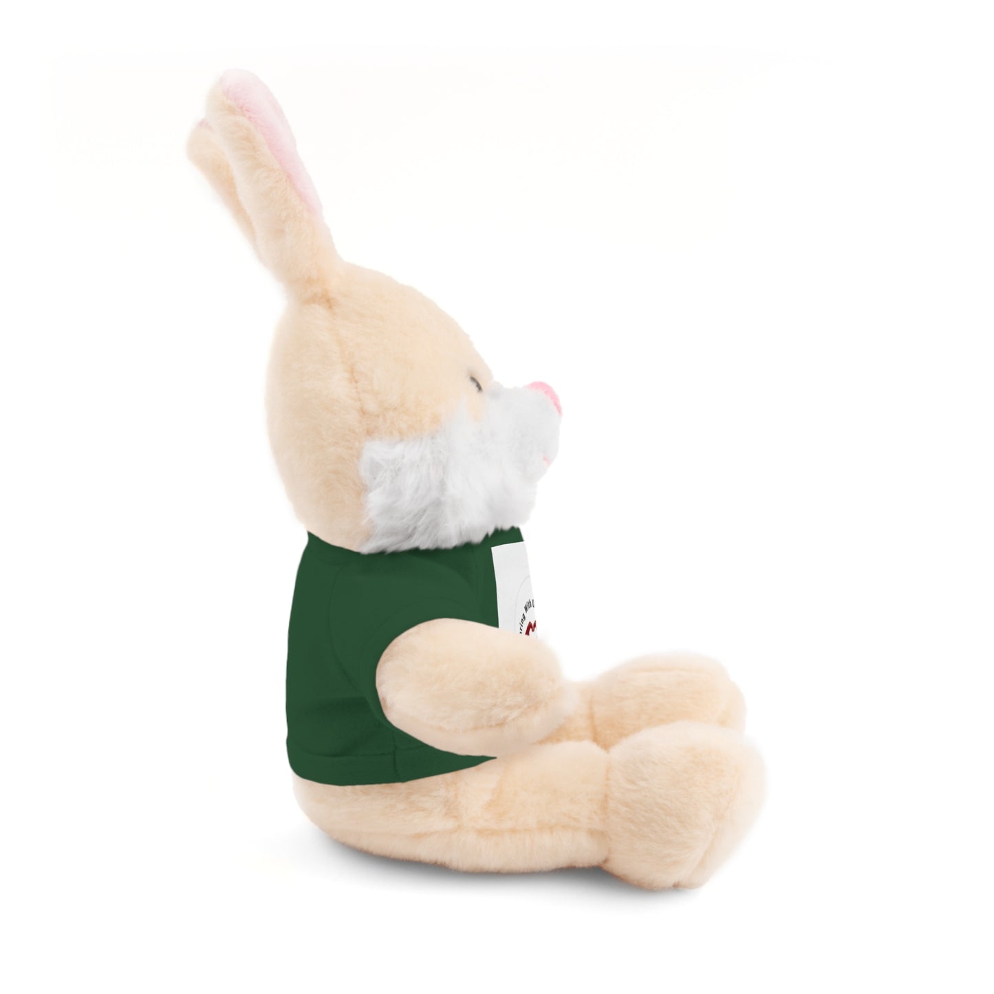Plush Bear with Custom Tee — Soft Brown Teddy in Printed T‑Shirt