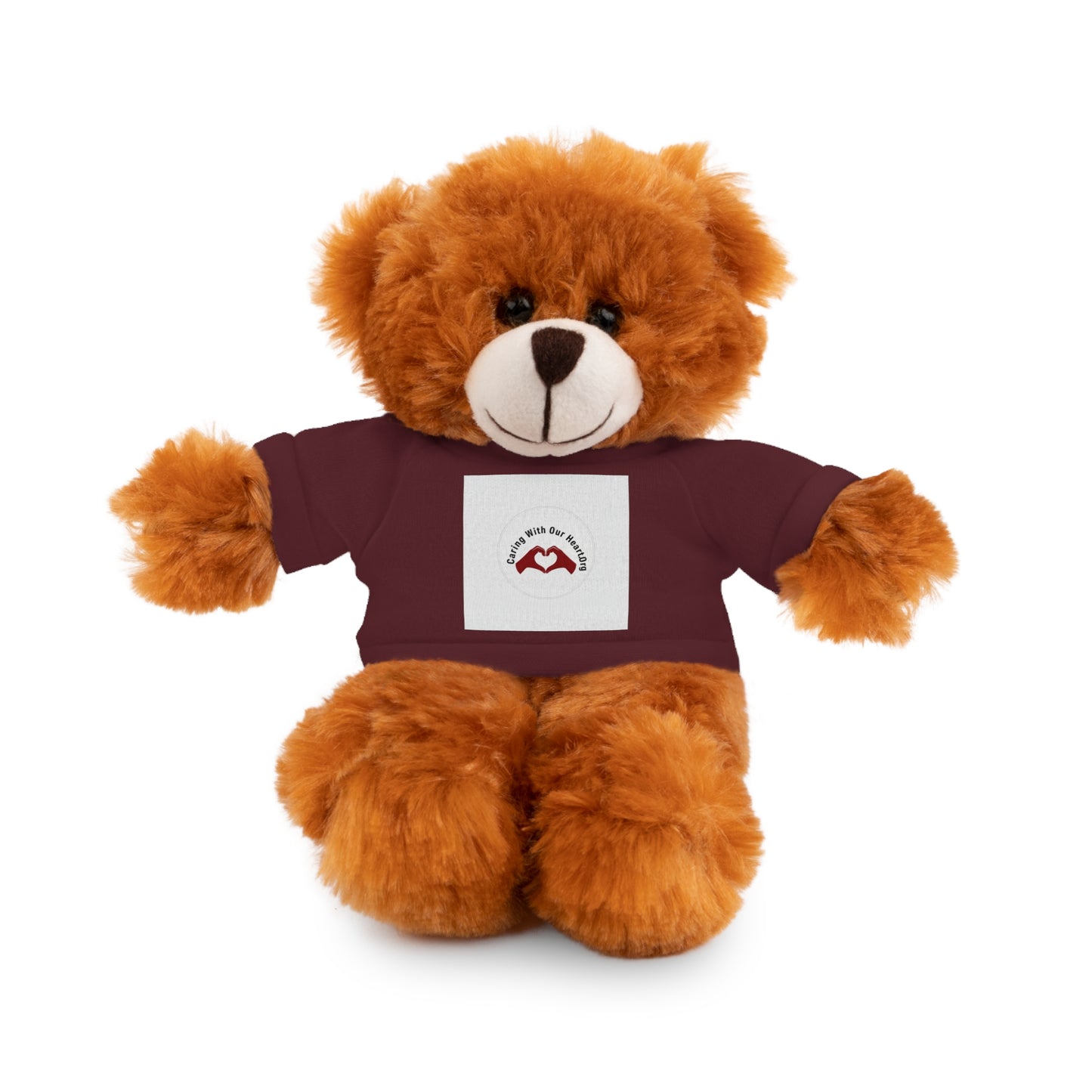 Plush Bear with Custom Tee — Soft Brown Teddy in Printed T‑Shirt