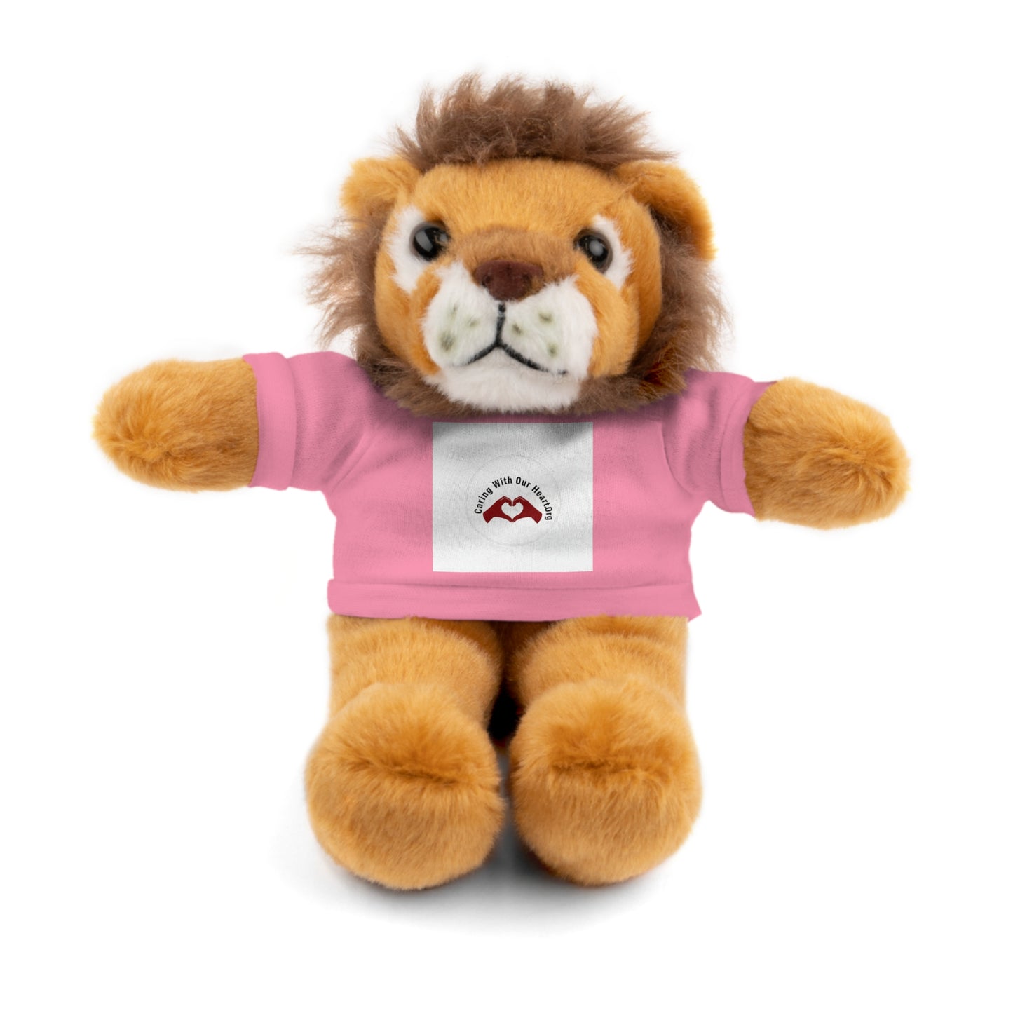 Plush Bear with Custom Tee — Soft Brown Teddy in Printed T‑Shirt