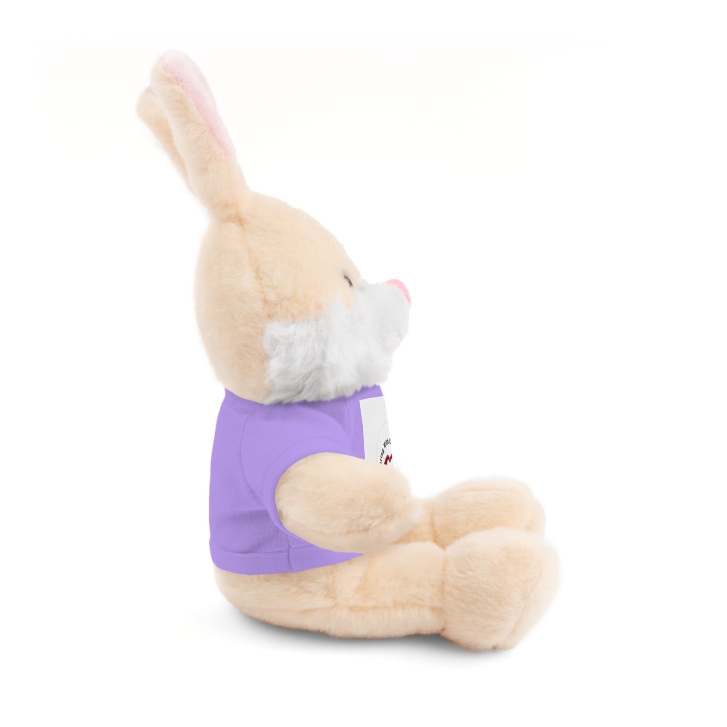Plush Bear with Custom Tee — Soft Brown Teddy in Printed T‑Shirt