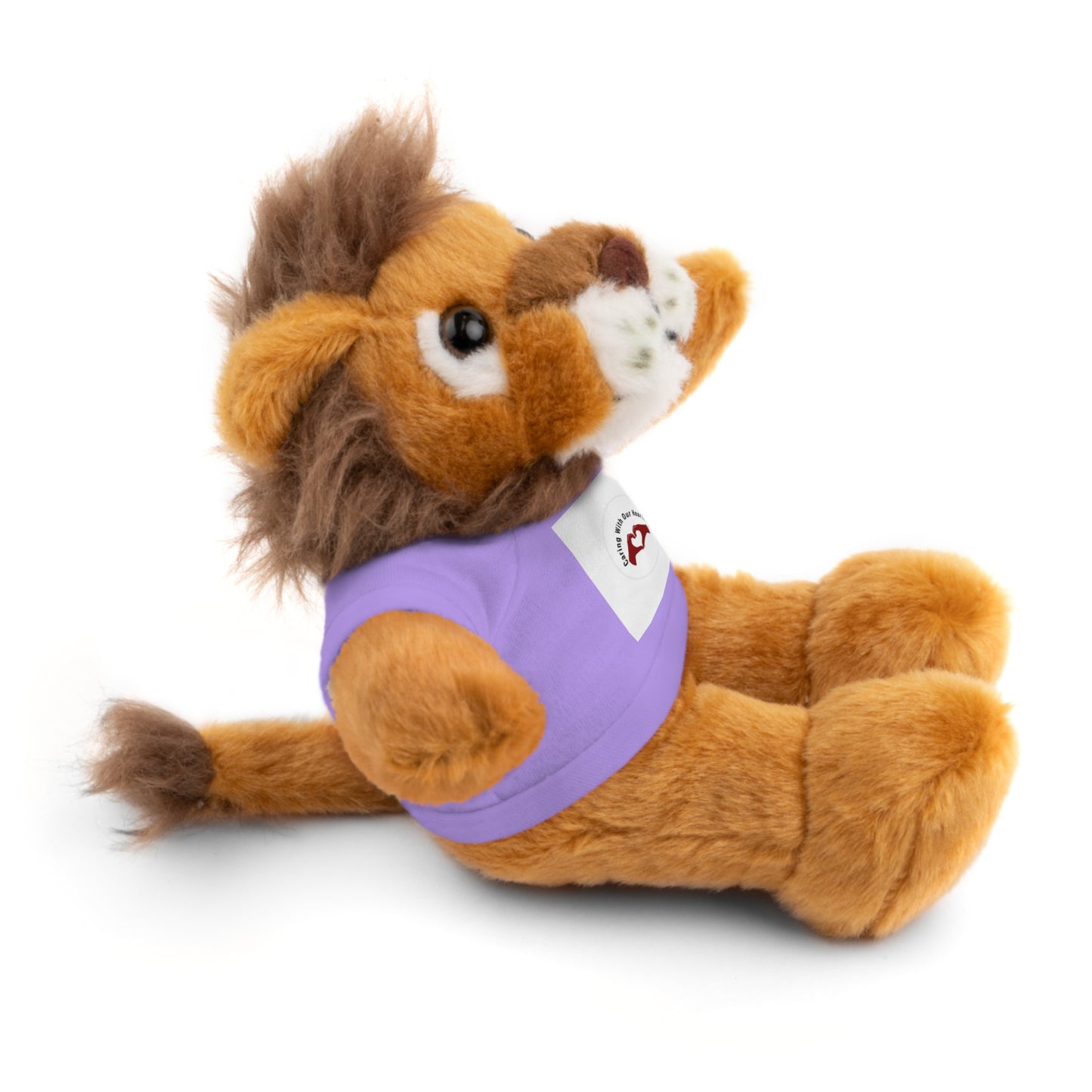 Plush Bear with Custom Tee — Soft Brown Teddy in Printed T‑Shirt