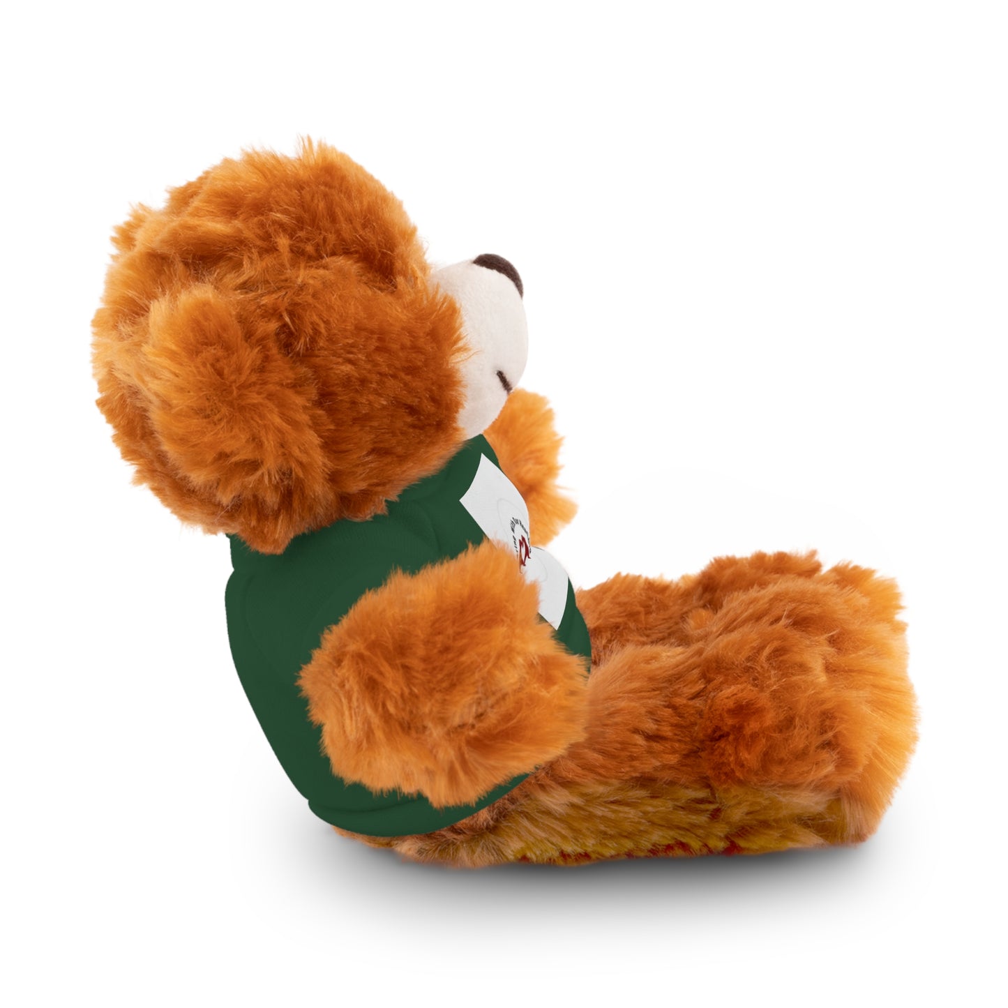 Plush Bear with Custom Tee — Soft Brown Teddy in Printed T‑Shirt