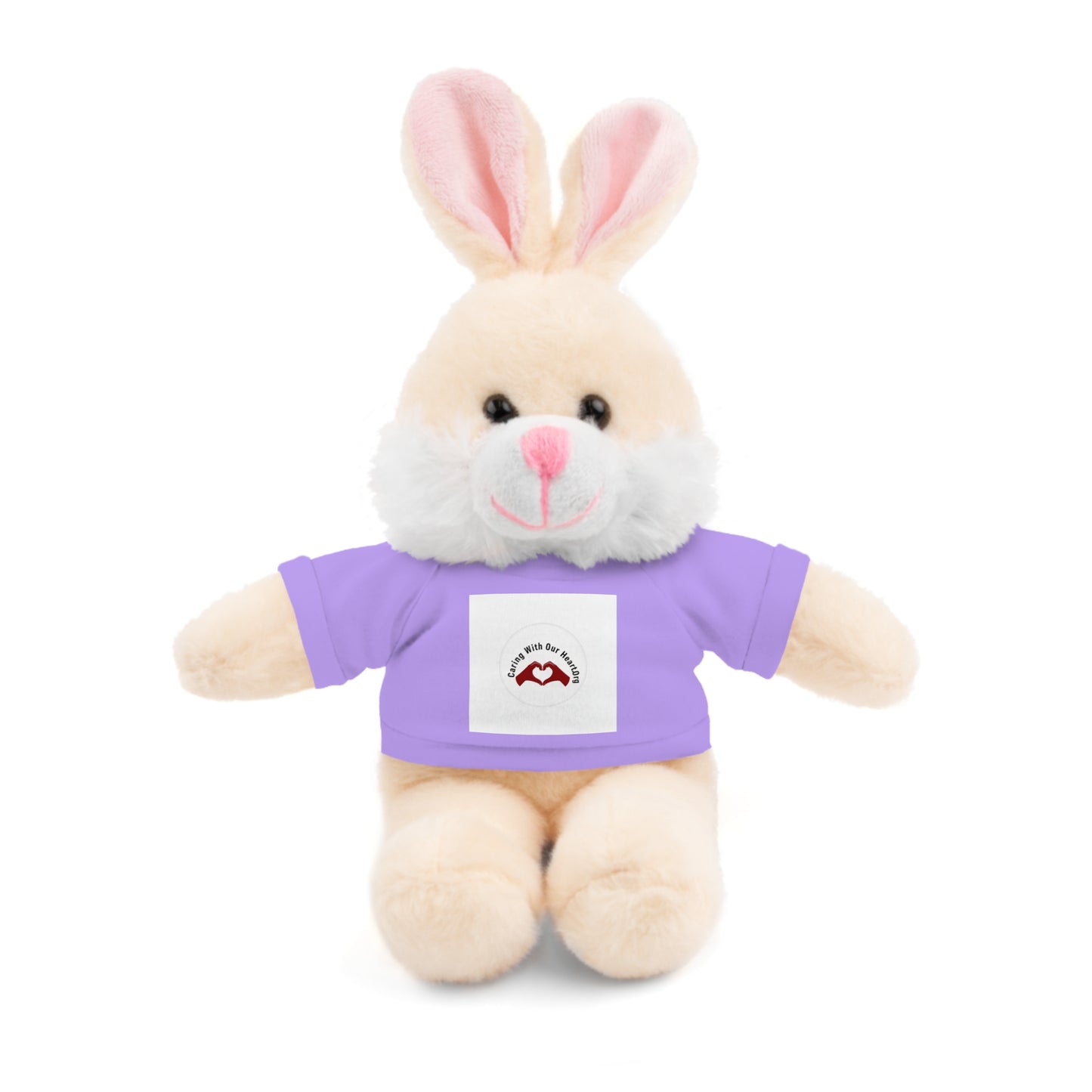 Plush Bear with Custom Tee — Soft Brown Teddy in Printed T‑Shirt