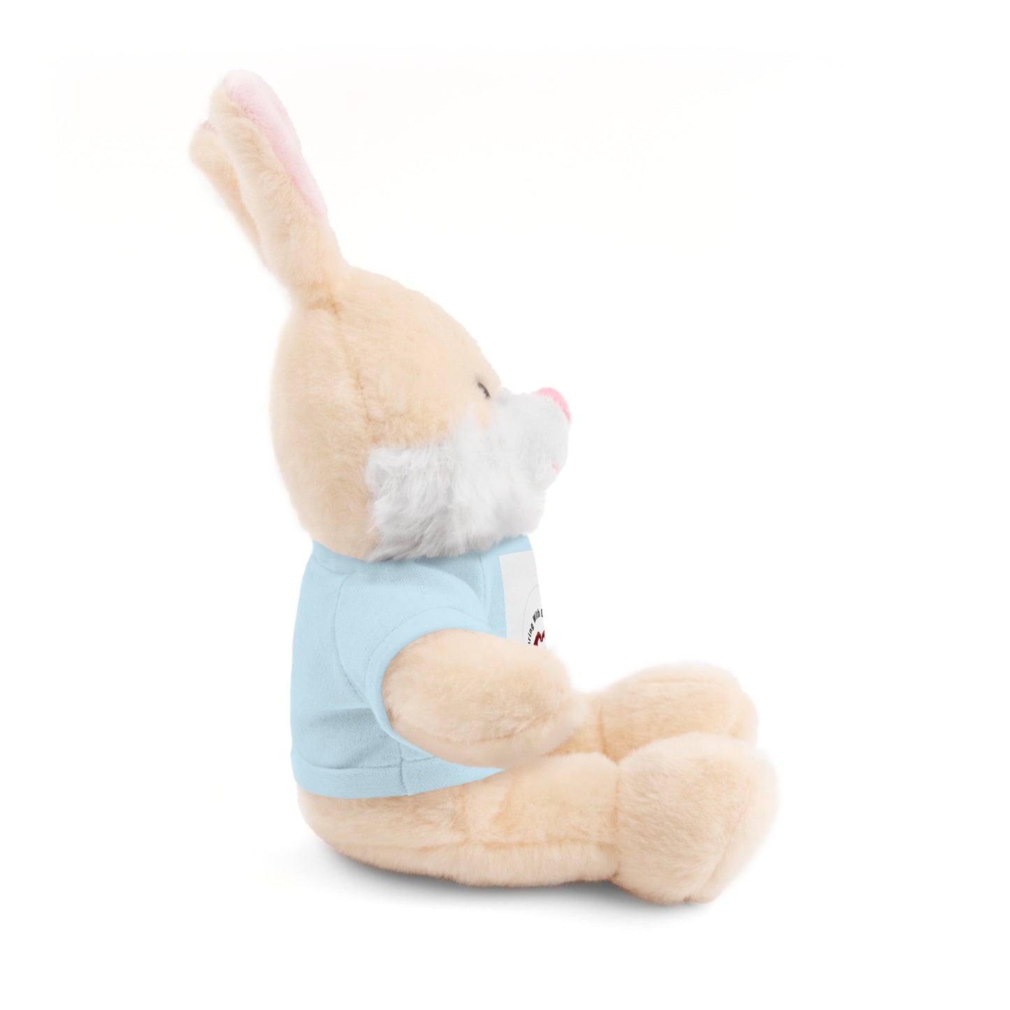 Plush Bear with Custom Tee — Soft Brown Teddy in Printed T‑Shirt