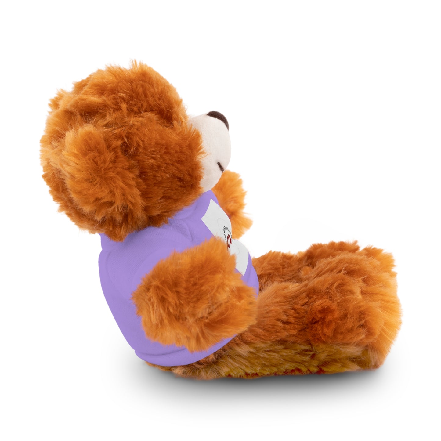 Plush Bear with Custom Tee — Soft Brown Teddy in Printed T‑Shirt