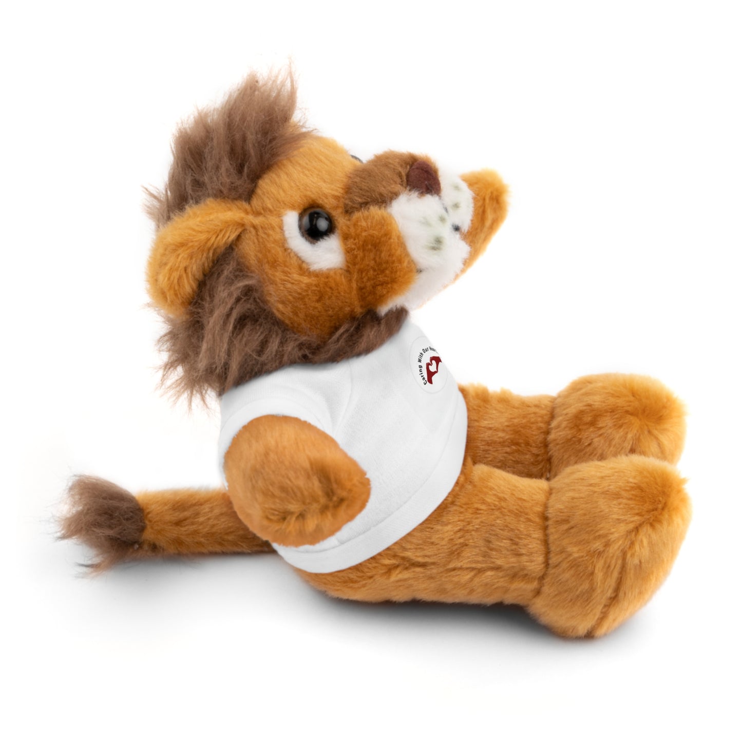 Plush Bear with Custom Tee — Soft Brown Teddy in Printed T‑Shirt