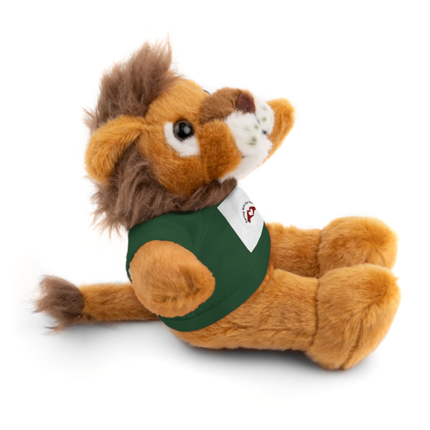 Plush Bear with Custom Tee — Soft Brown Teddy in Printed T‑Shirt