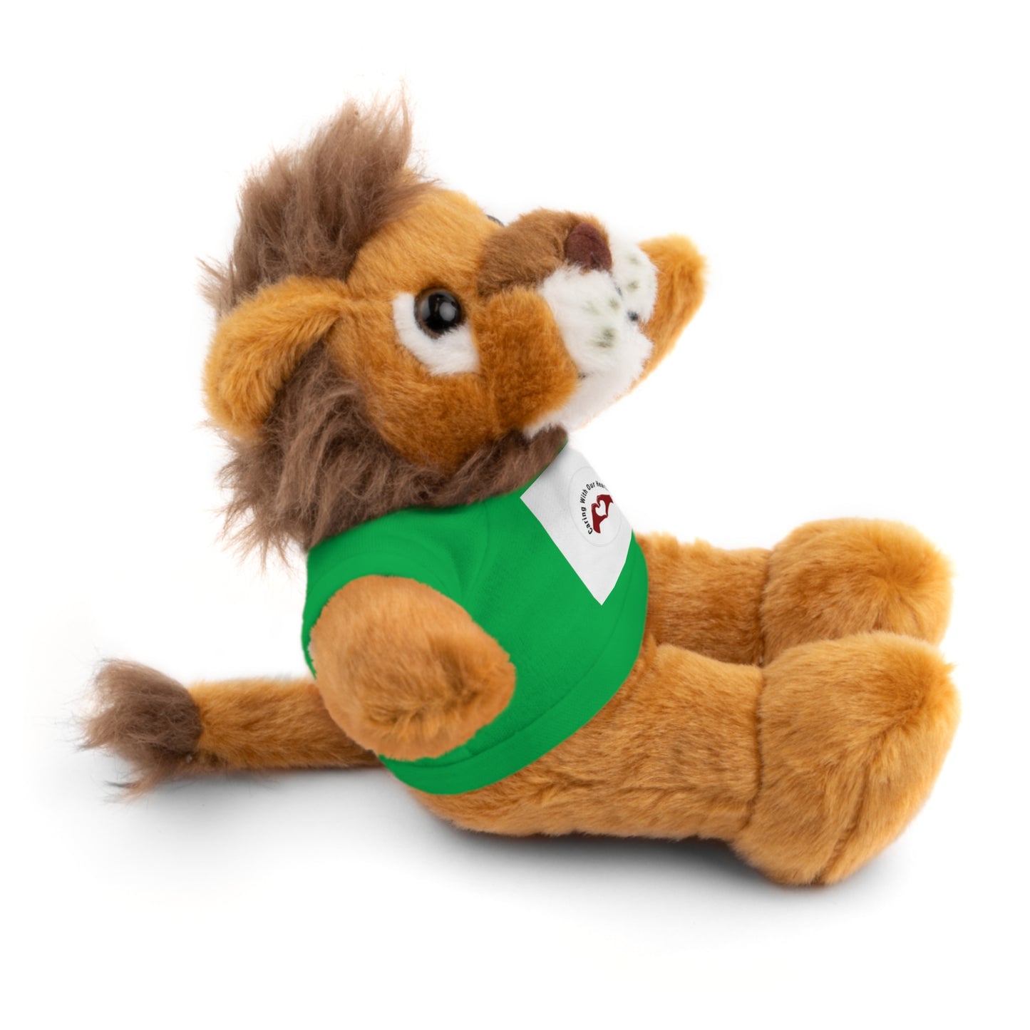 Plush Bear with Custom Tee — Soft Brown Teddy in Printed T‑Shirt