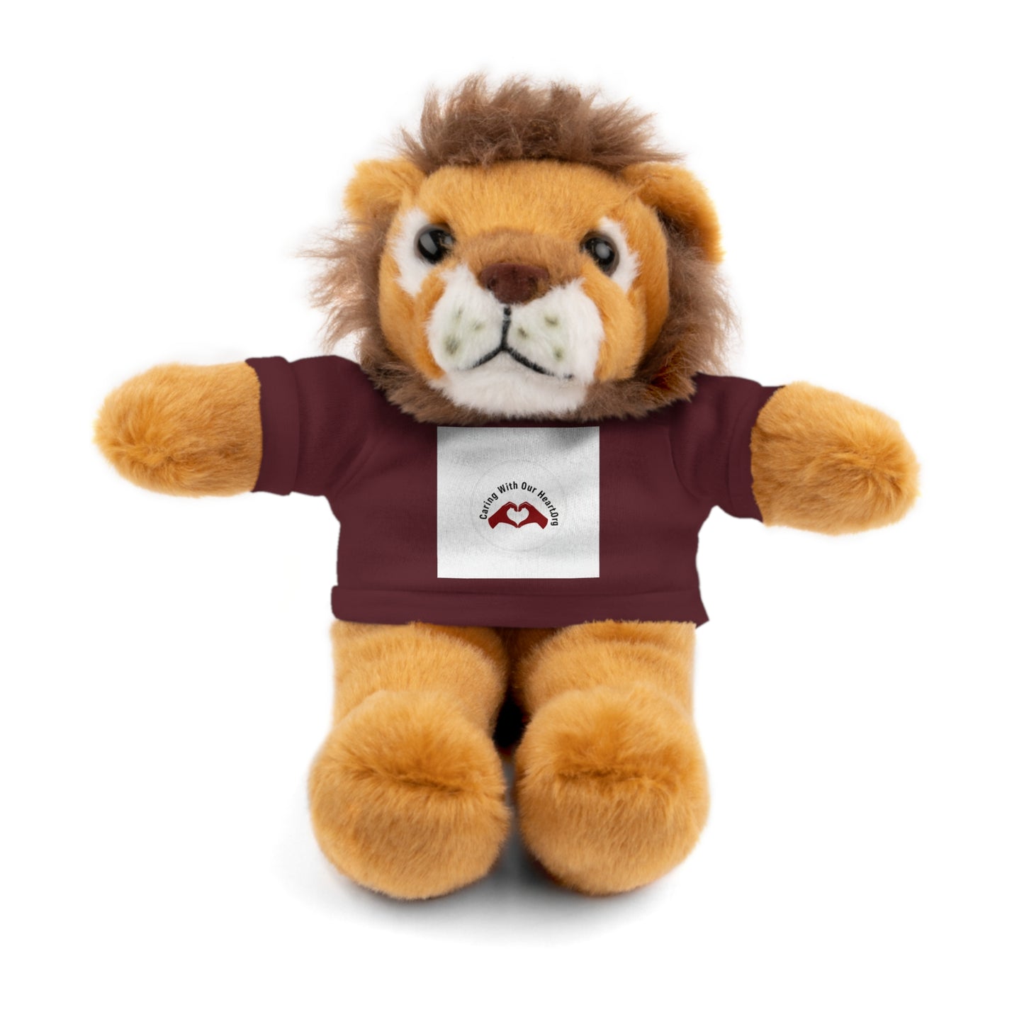 Plush Bear with Custom Tee — Soft Brown Teddy in Printed T‑Shirt