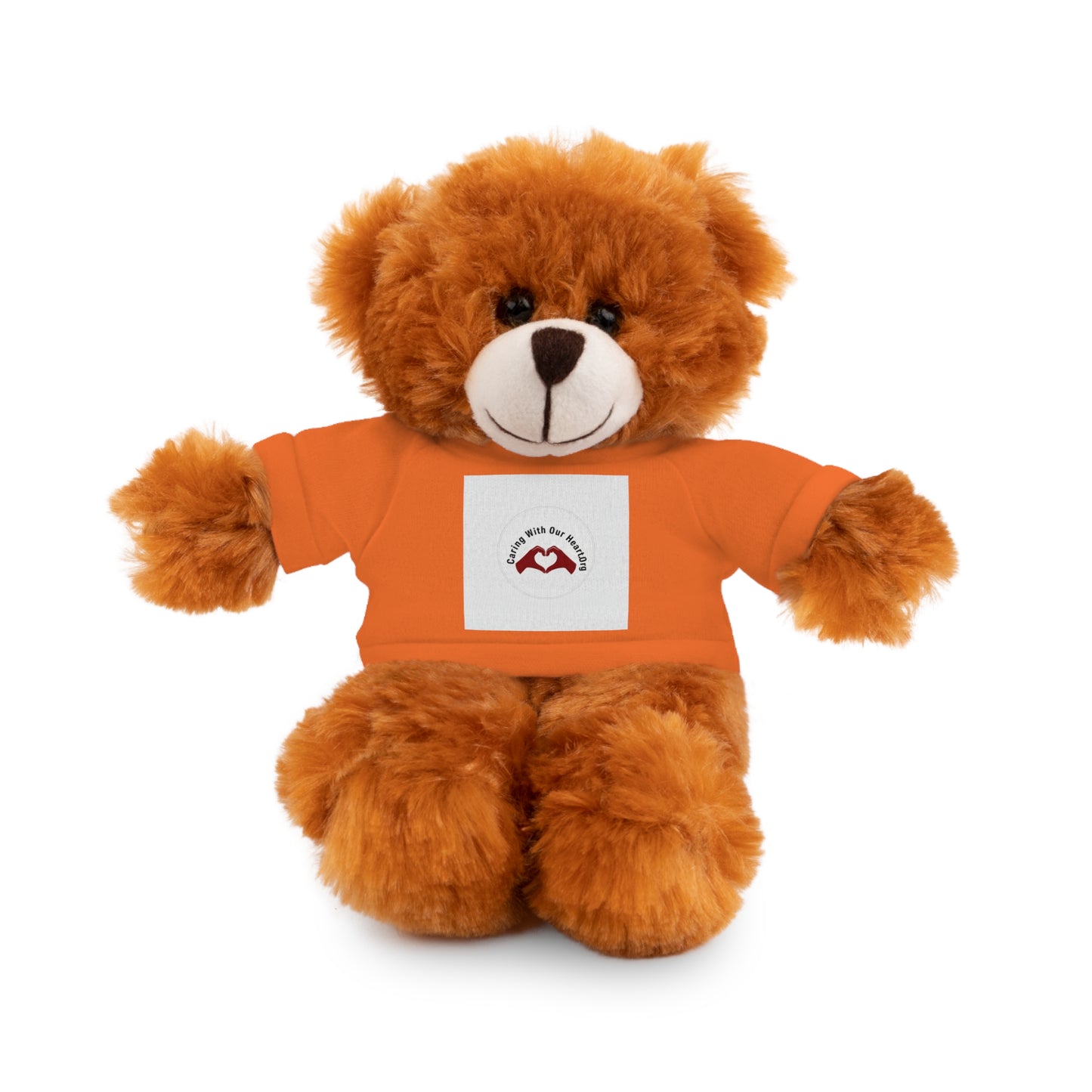 Plush Bear with Custom Tee — Soft Brown Teddy in Printed T‑Shirt