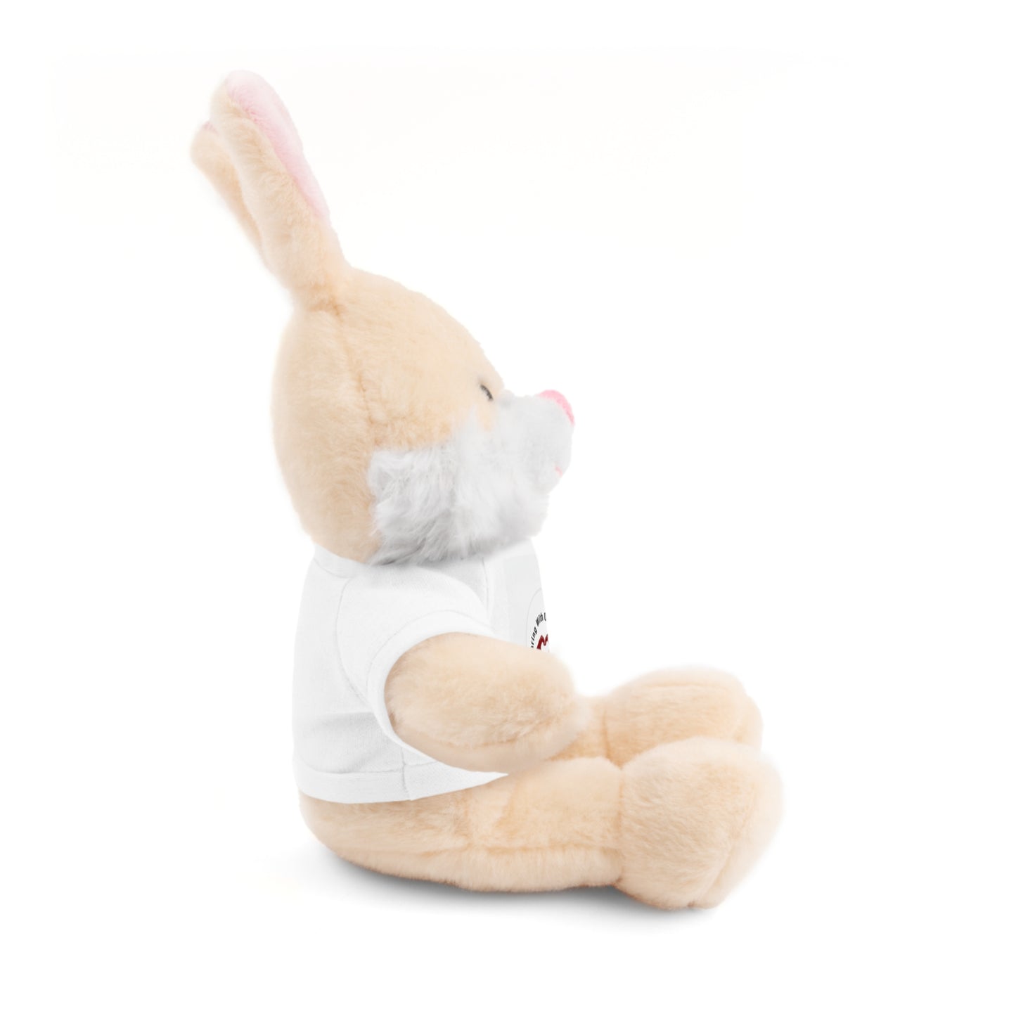 Plush Bear with Custom Tee — Soft Brown Teddy in Printed T‑Shirt