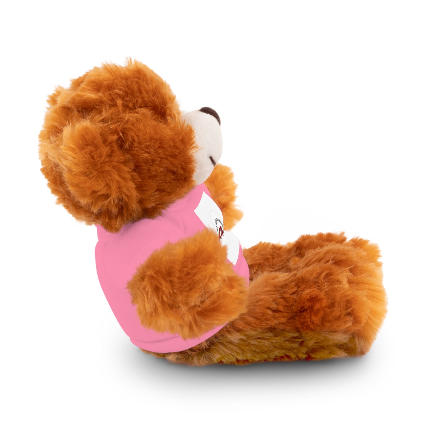 Plush Bear with Custom Tee — Soft Brown Teddy in Printed T‑Shirt