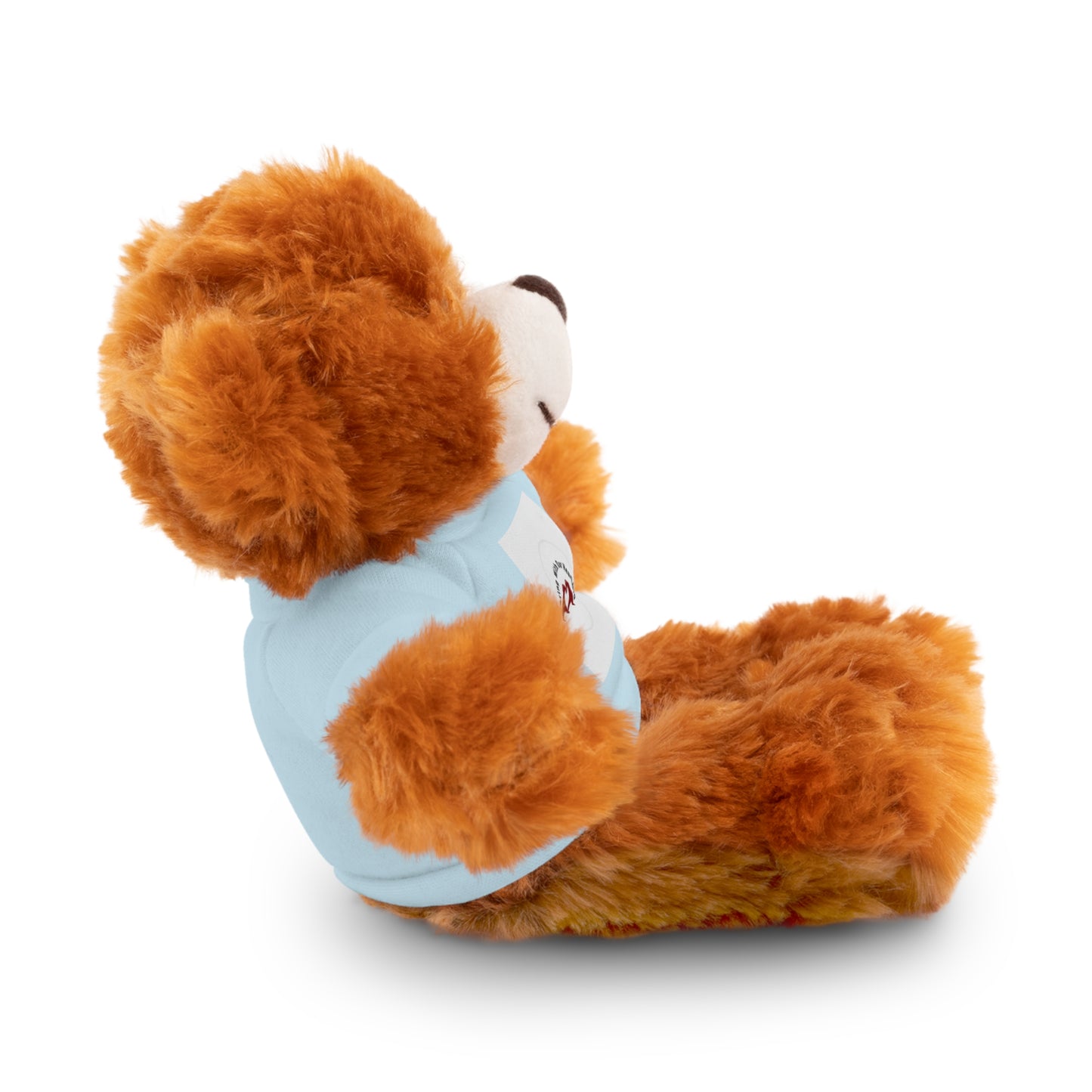Plush Bear with Custom Tee — Soft Brown Teddy in Printed T‑Shirt