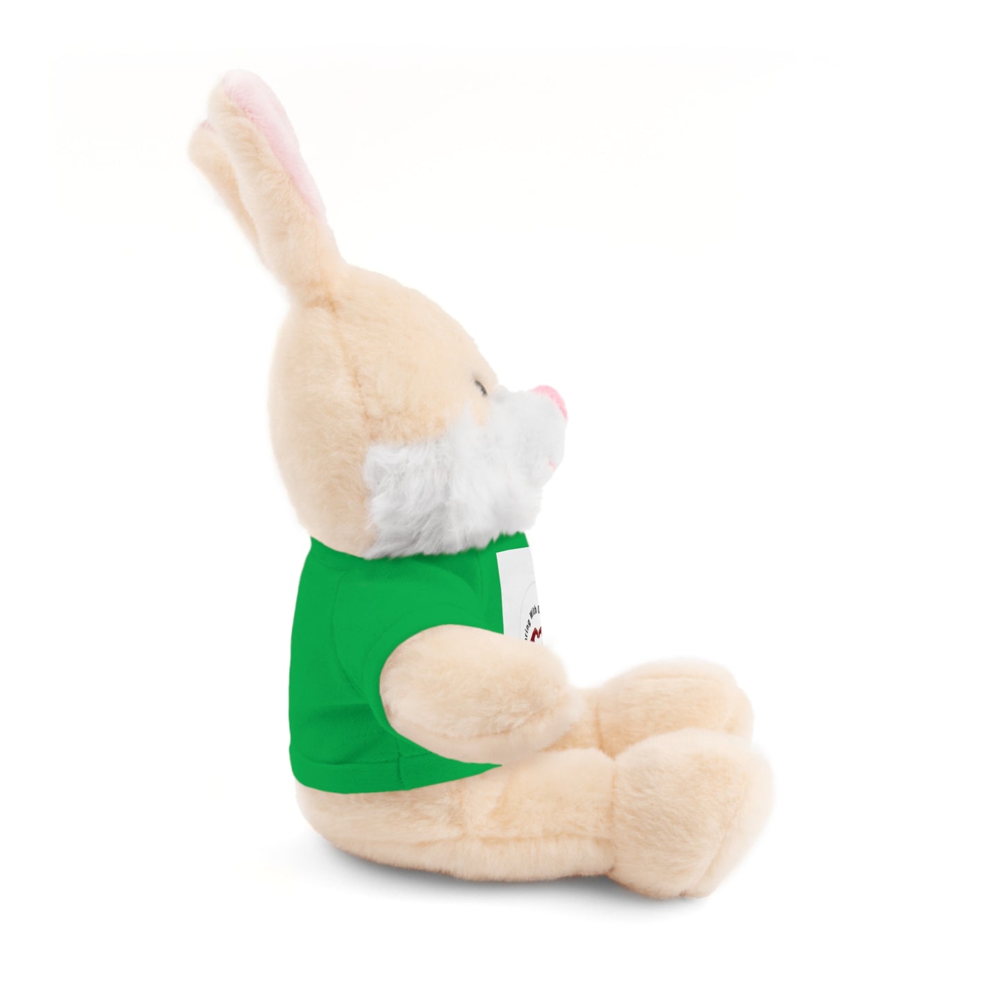 Plush Bear with Custom Tee — Soft Brown Teddy in Printed T‑Shirt