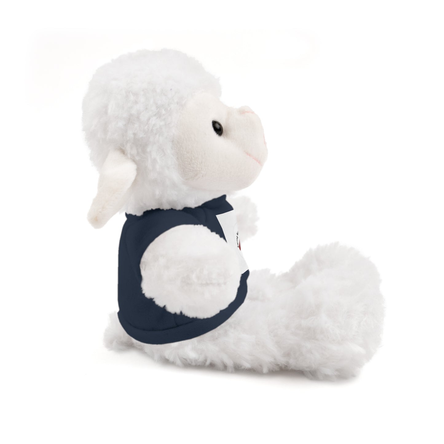 Plush Bear with Custom Tee — Soft Brown Teddy in Printed T‑Shirt