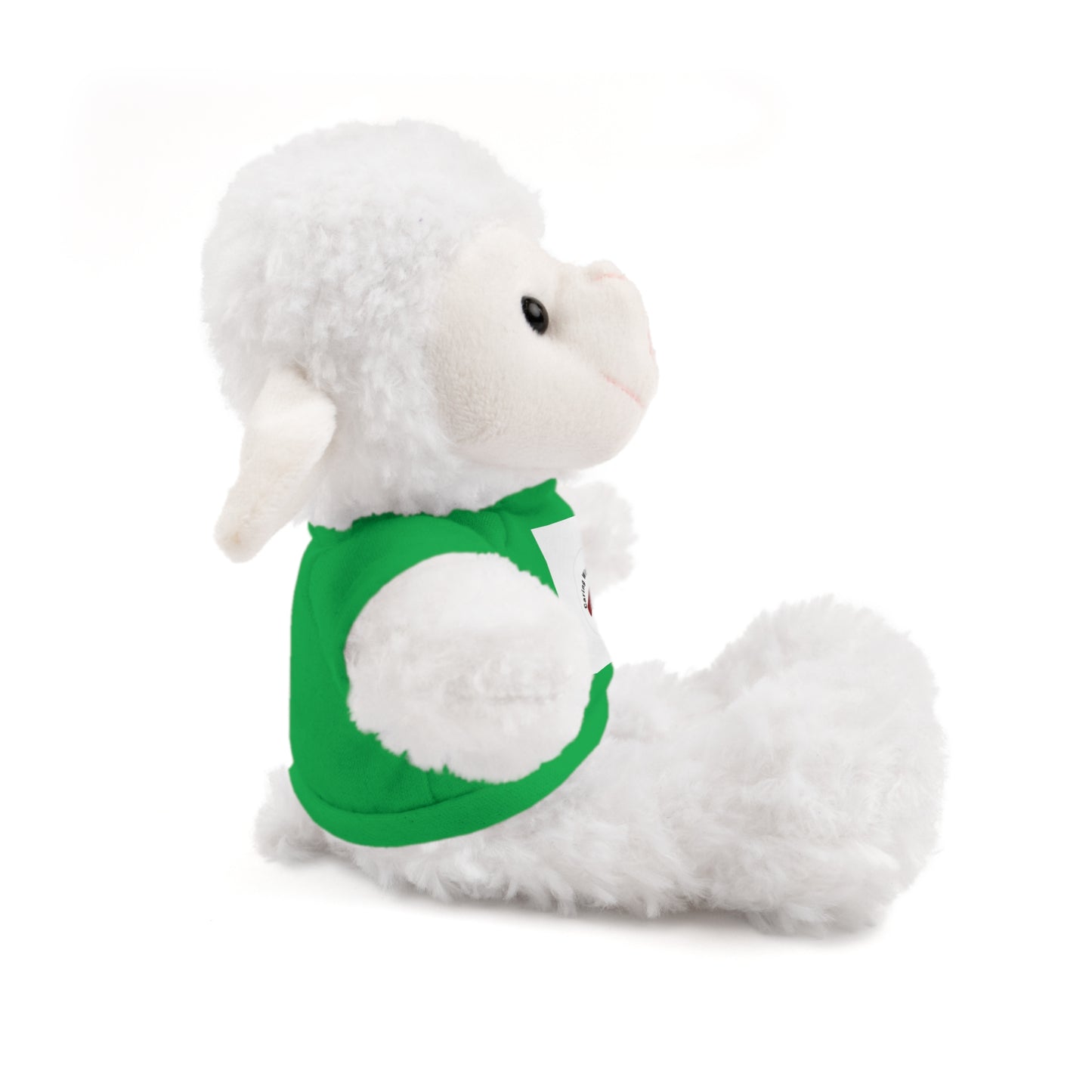 Plush Bear with Custom Tee — Soft Brown Teddy in Printed T‑Shirt