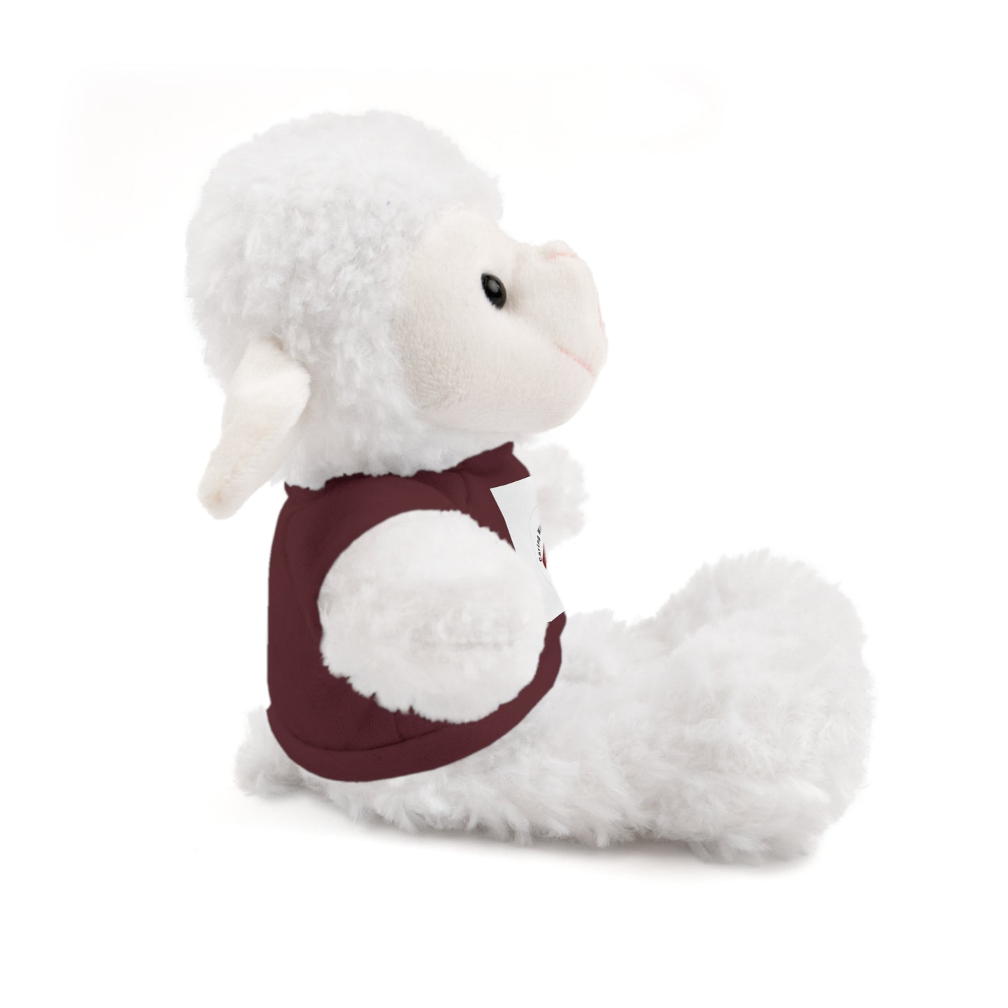 Plush Bear with Custom Tee — Soft Brown Teddy in Printed T‑Shirt