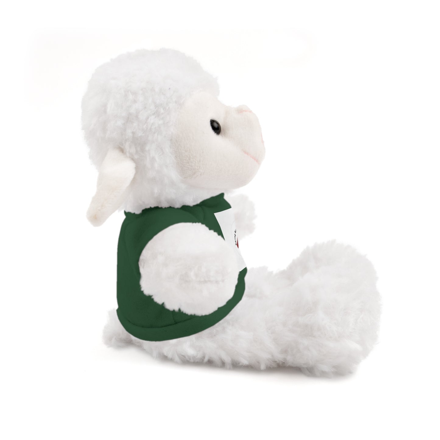 Plush Bear with Custom Tee — Soft Brown Teddy in Printed T‑Shirt