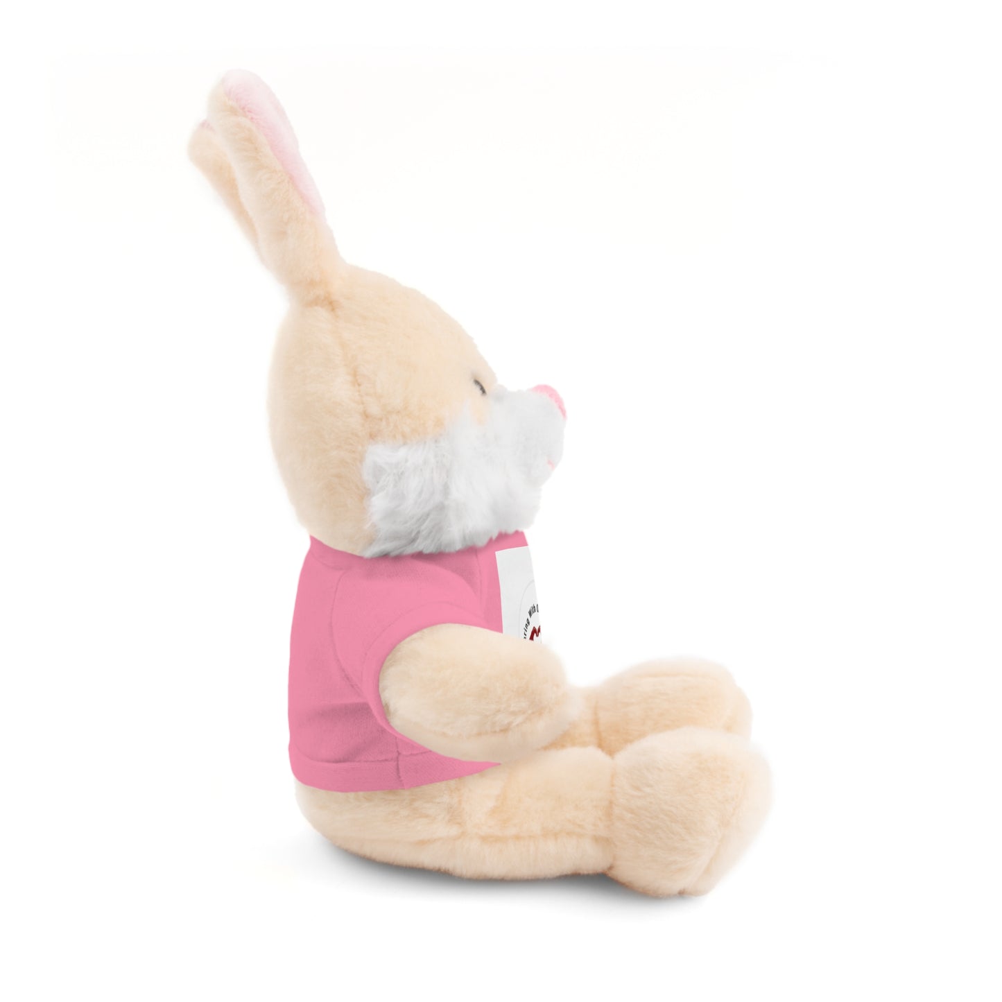 Plush Bear with Custom Tee — Soft Brown Teddy in Printed T‑Shirt