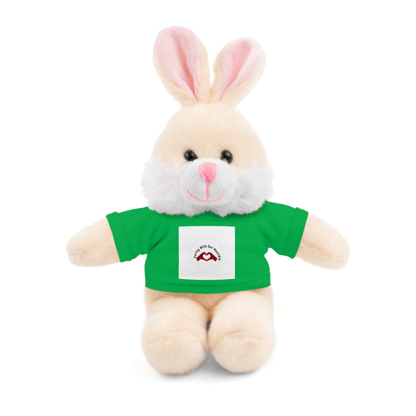 Plush Bear with Custom Tee — Soft Brown Teddy in Printed T‑Shirt
