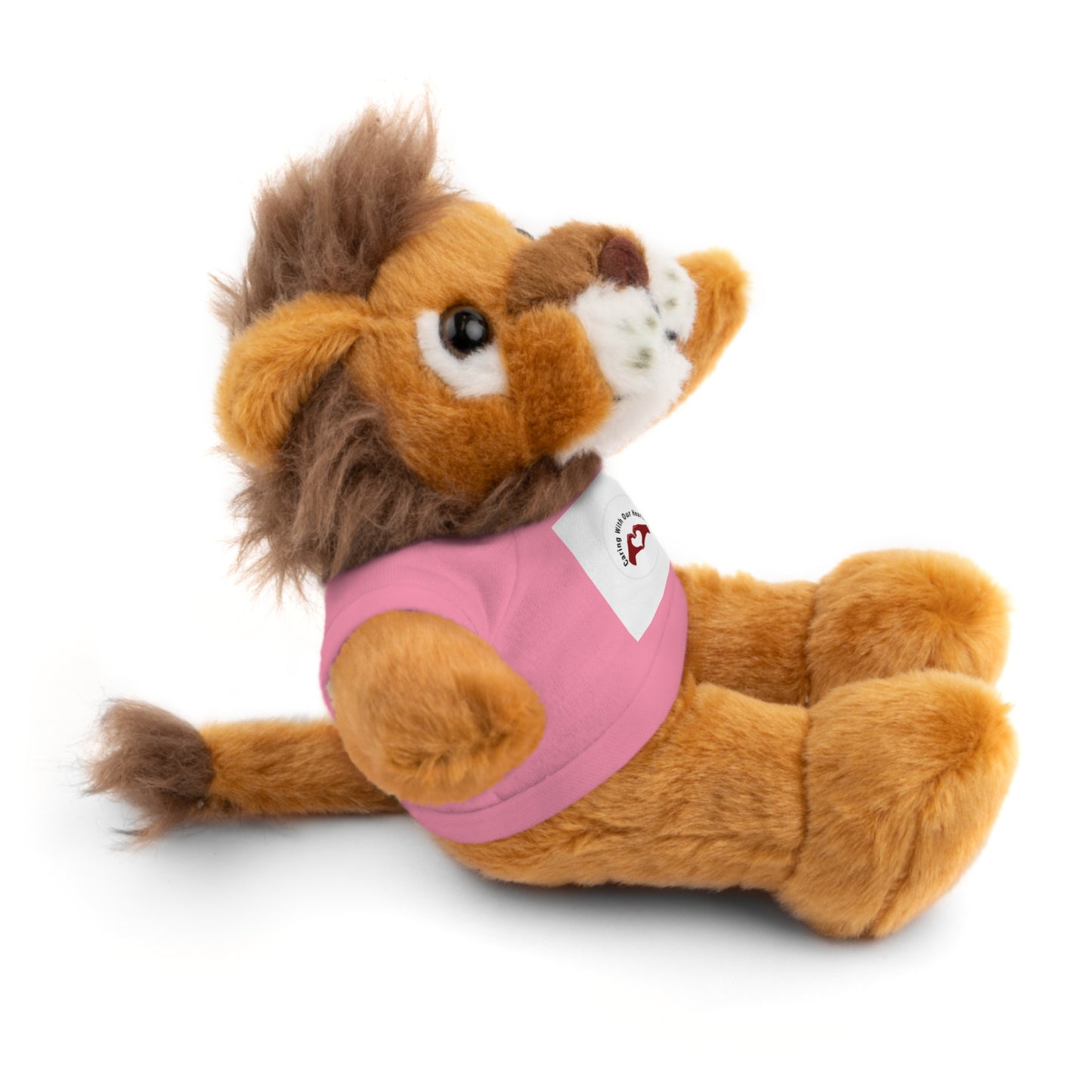 Plush Bear with Custom Tee — Soft Brown Teddy in Printed T‑Shirt
