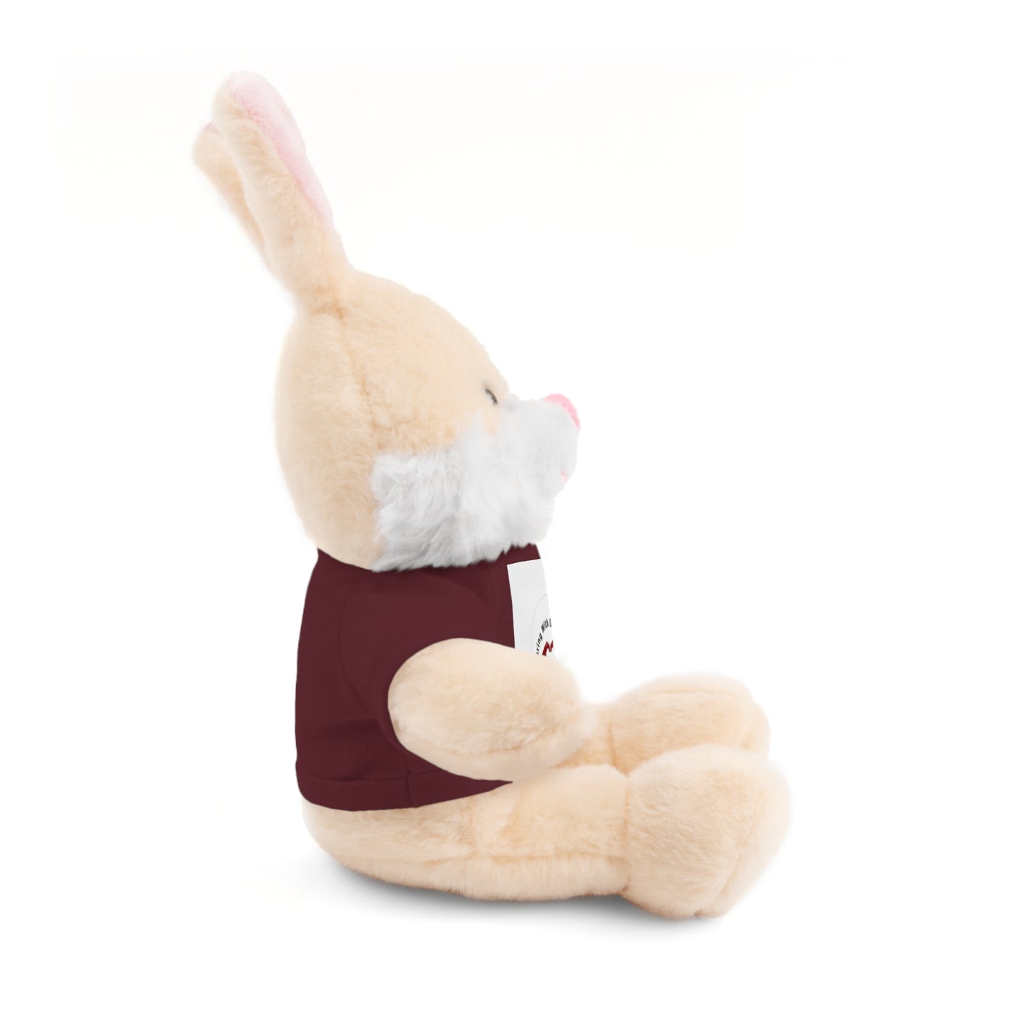 Plush Bear with Custom Tee — Soft Brown Teddy in Printed T‑Shirt