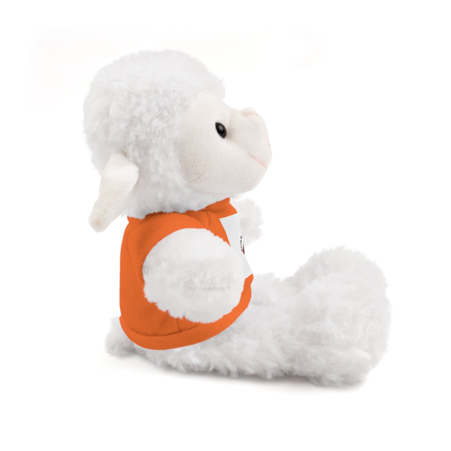 Plush Bear with Custom Tee — Soft Brown Teddy in Printed T‑Shirt