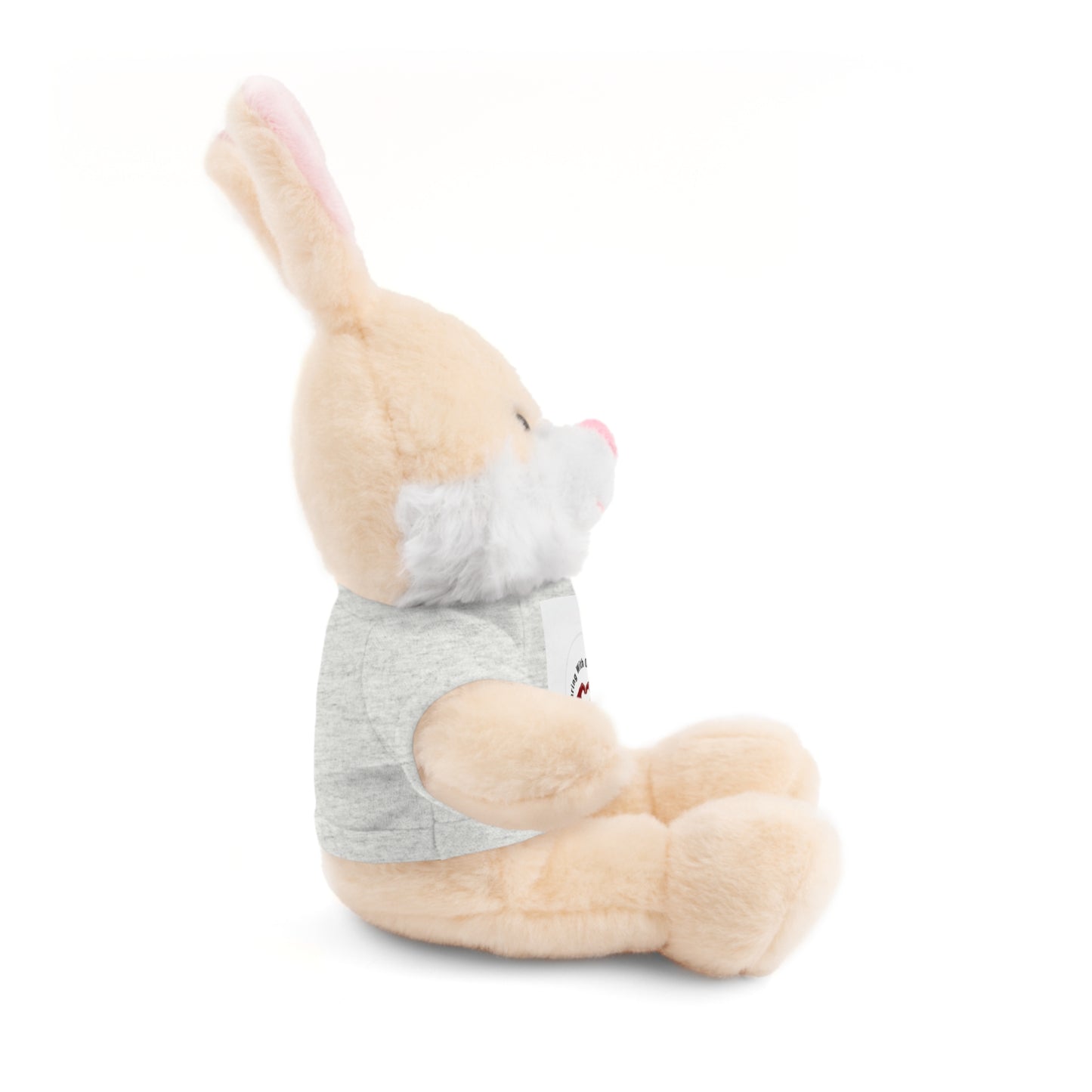 Plush Bear with Custom Tee — Soft Brown Teddy in Printed T‑Shirt