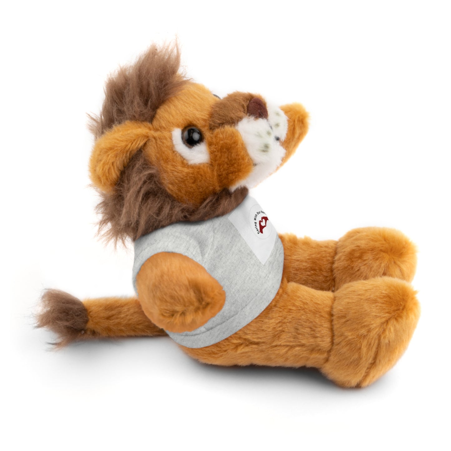 Plush Bear with Custom Tee — Soft Brown Teddy in Printed T‑Shirt