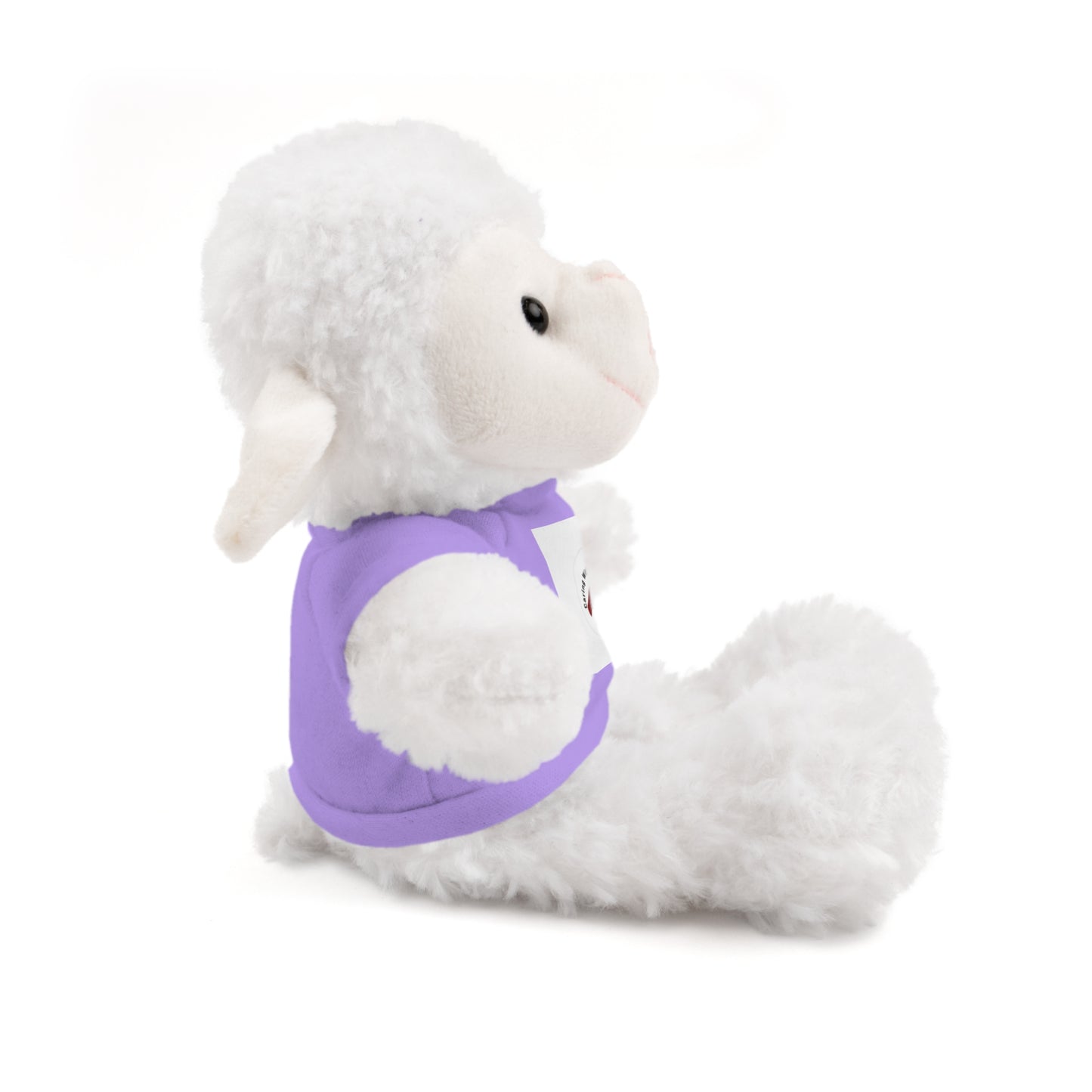 Plush Bear with Custom Tee — Soft Brown Teddy in Printed T‑Shirt