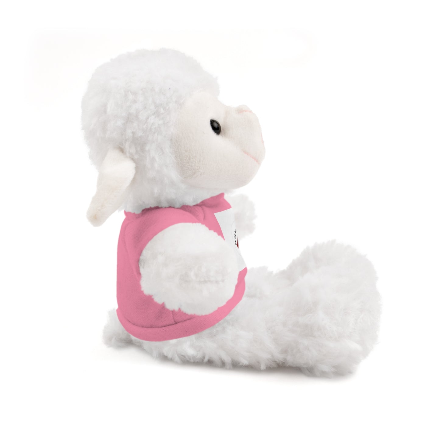 Plush Bear with Custom Tee — Soft Brown Teddy in Printed T‑Shirt