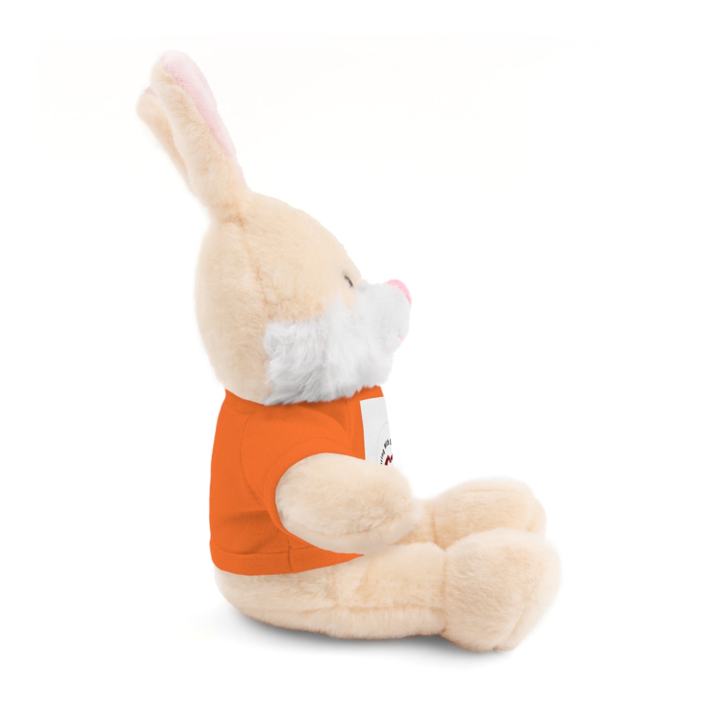 Plush Bear with Custom Tee — Soft Brown Teddy in Printed T‑Shirt