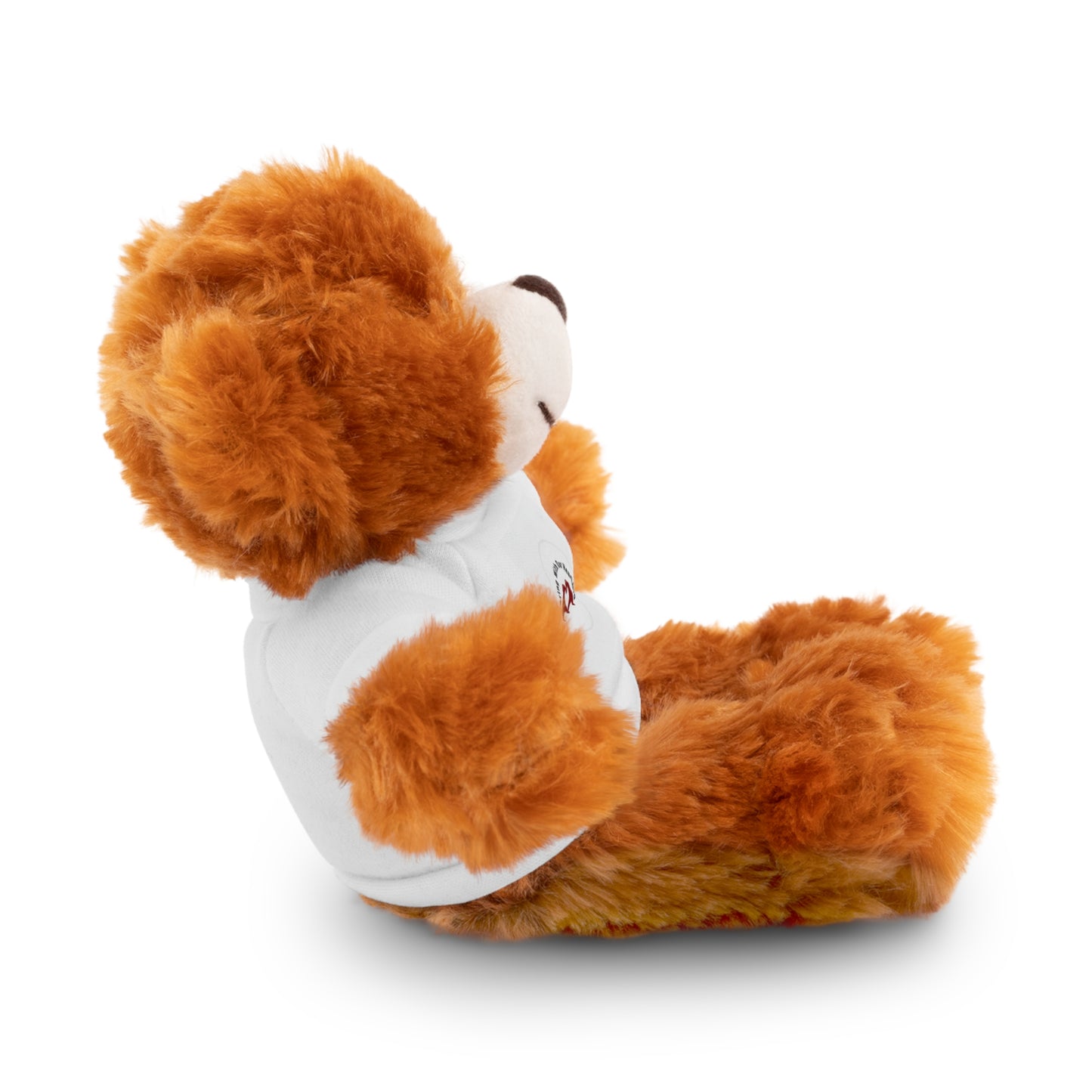 Plush Bear with Custom Tee — Soft Brown Teddy in Printed T‑Shirt