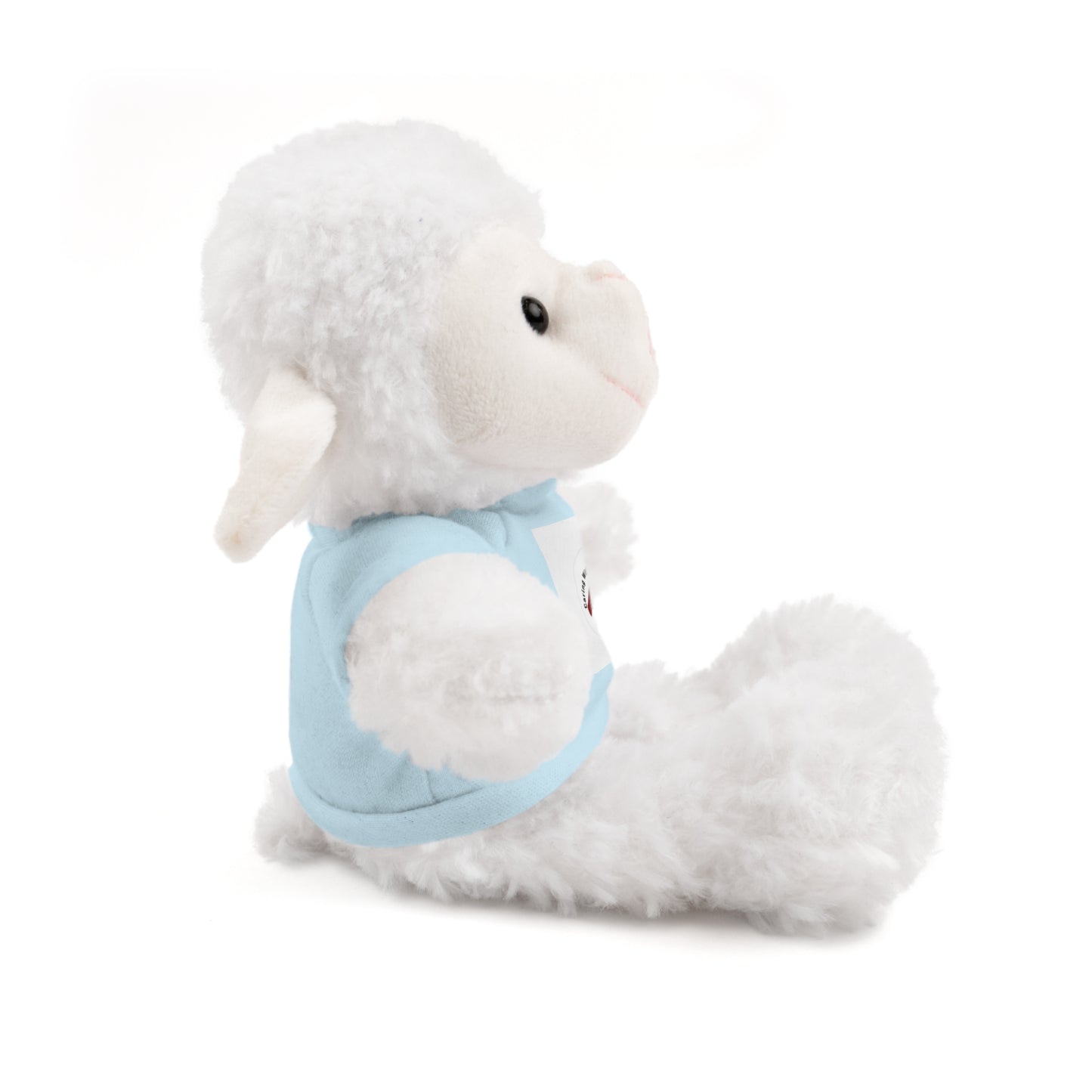 Plush Bear with Custom Tee — Soft Brown Teddy in Printed T‑Shirt