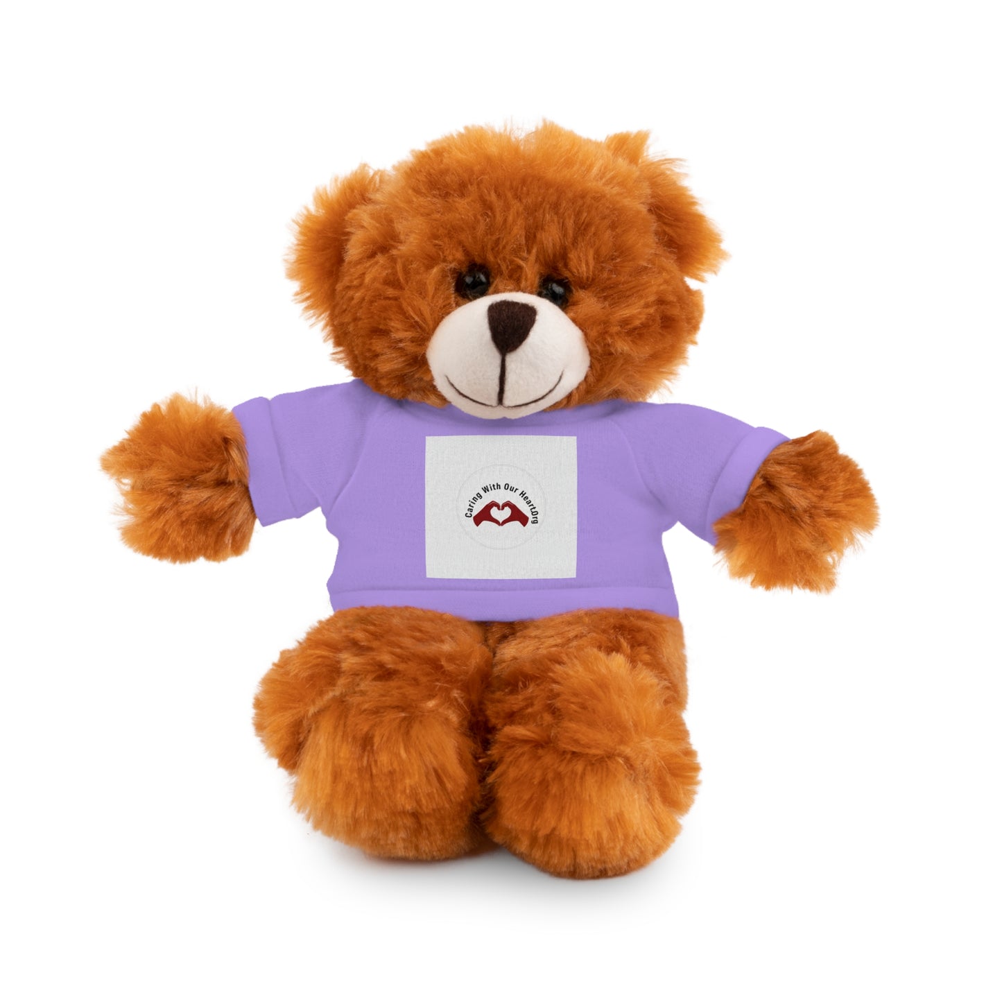 Plush Bear with Custom Tee — Soft Brown Teddy in Printed T‑Shirt