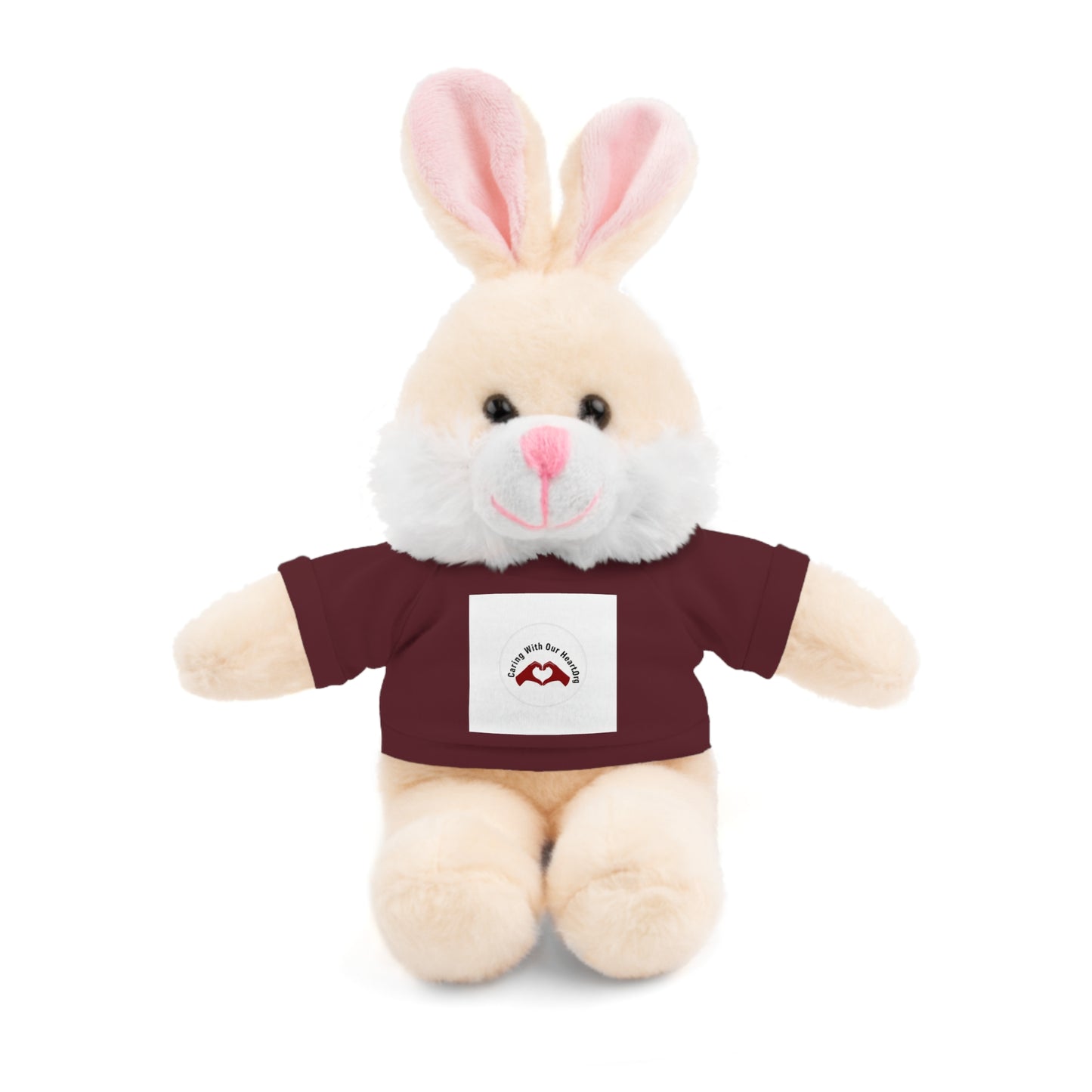 Plush Bear with Custom Tee — Soft Brown Teddy in Printed T‑Shirt