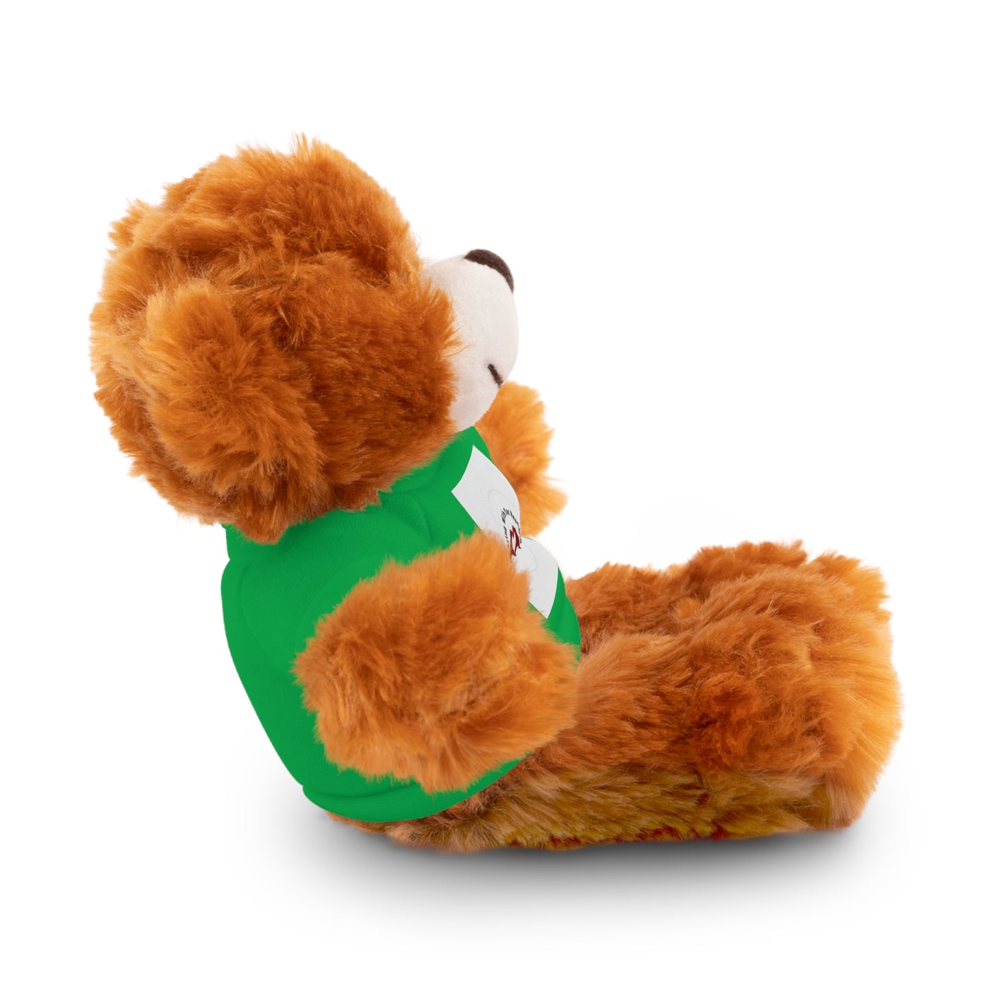 Plush Bear with Custom Tee — Soft Brown Teddy in Printed T‑Shirt