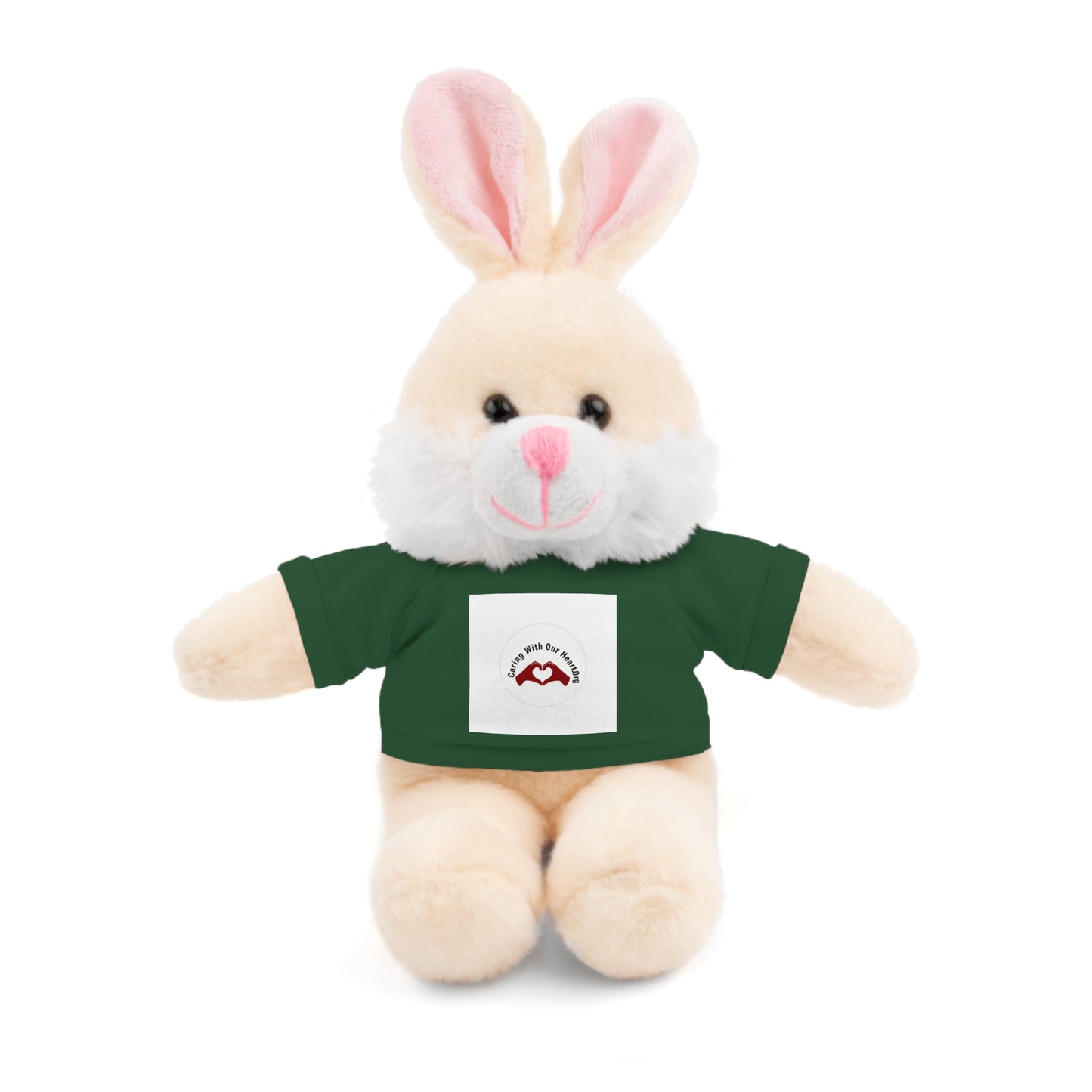 Plush Bear with Custom Tee — Soft Brown Teddy in Printed T‑Shirt