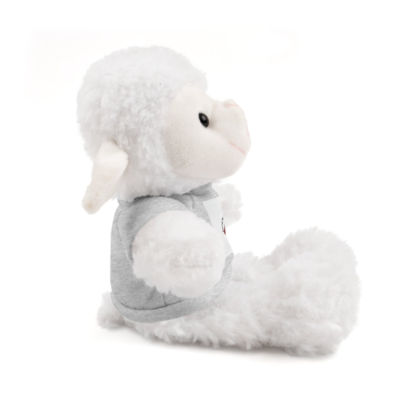 Plush Bear with Custom Tee — Soft Brown Teddy in Printed T‑Shirt