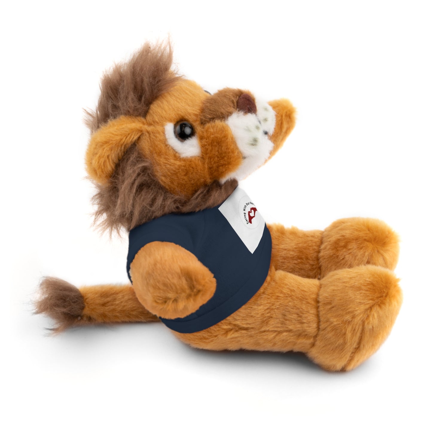 Plush Bear with Custom Tee — Soft Brown Teddy in Printed T‑Shirt