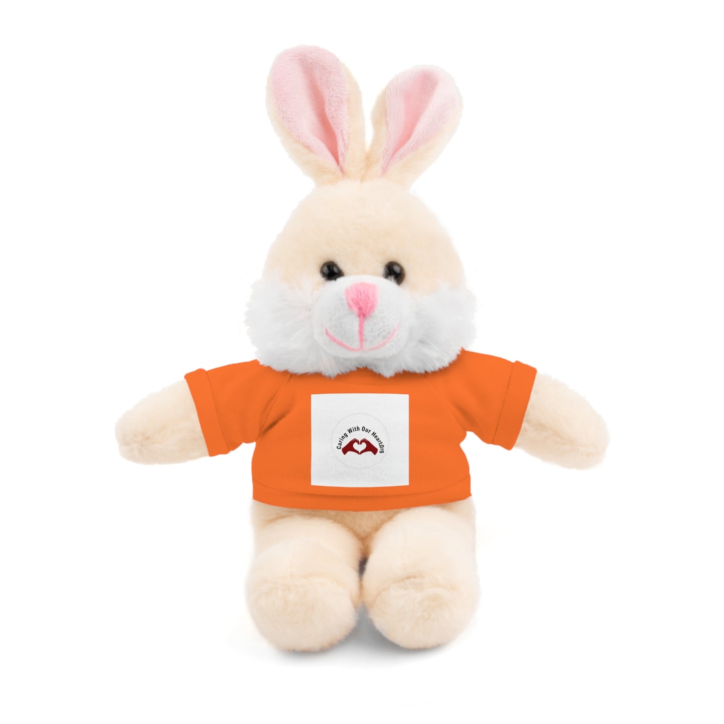 Plush Bear with Custom Tee — Soft Brown Teddy in Printed T‑Shirt
